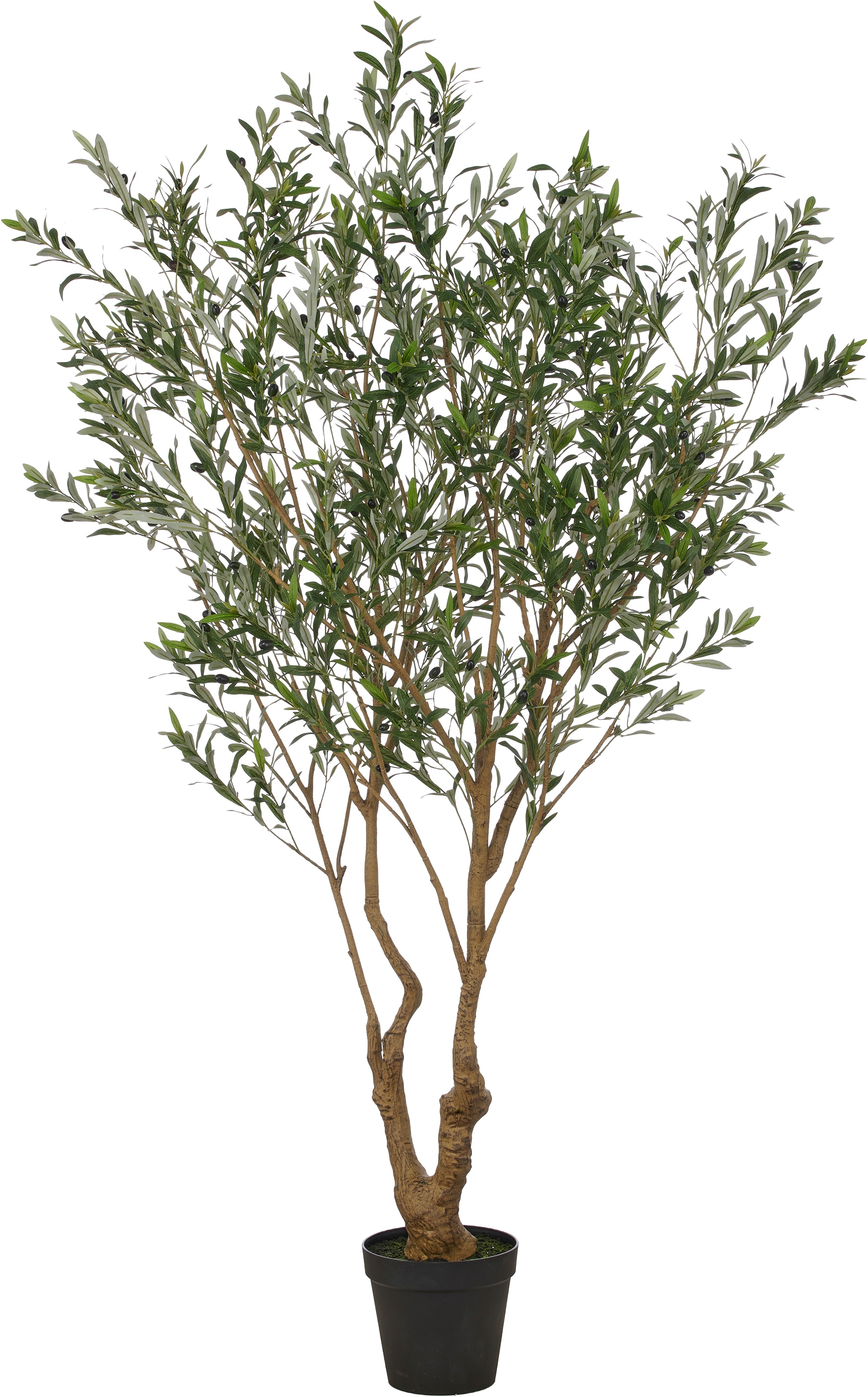 Creativ green Kunstbaum "Olive" in beeindruckender Größe