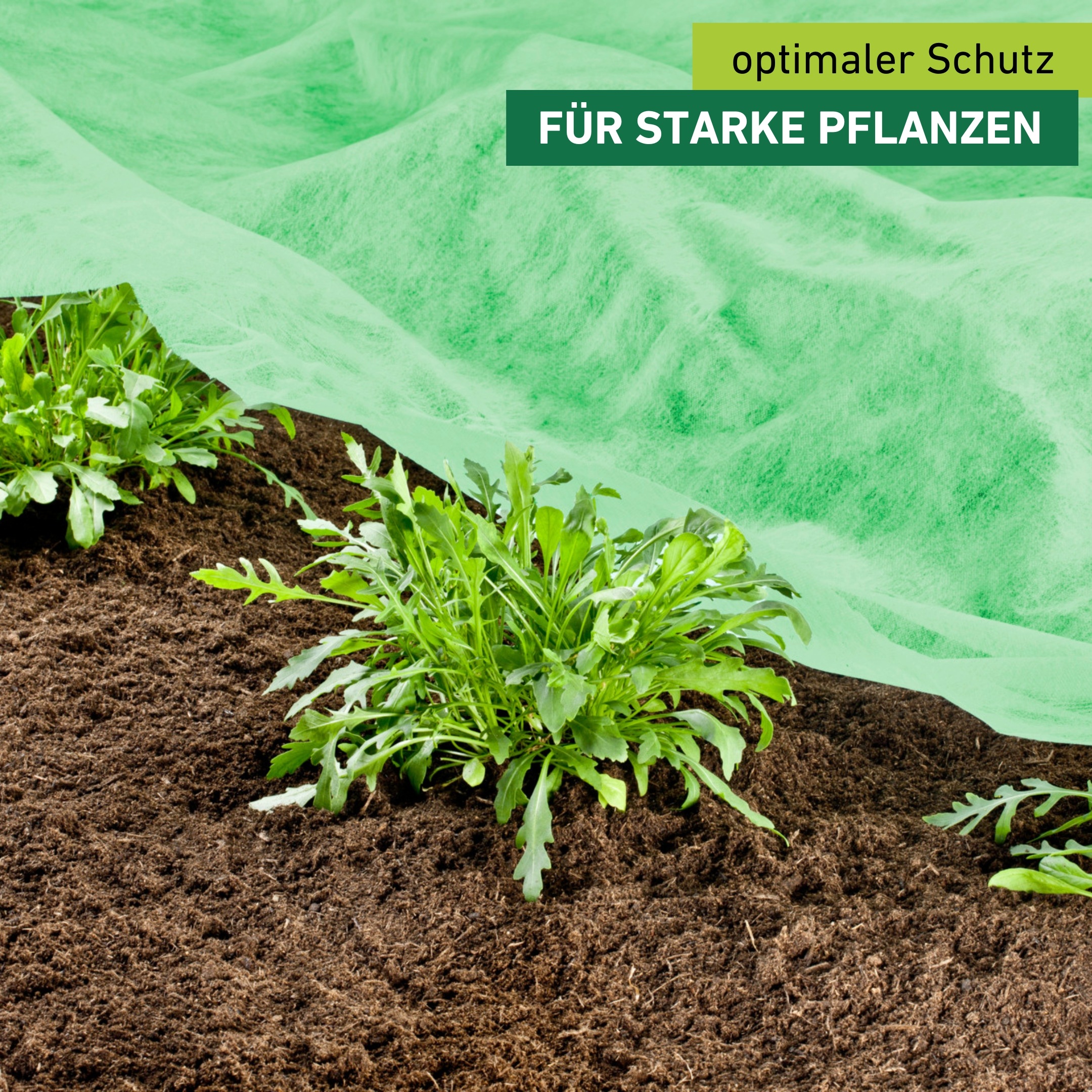 Windhager Gartenvlies »Supergrow für optimales Wachstum von Jungpflanzen im Frühbeet« 1 Stk. tlg. Garten Abdeckvlies erhältlich in 10 x 1,5 m oder 10 x 2 m, 20 g/m²
