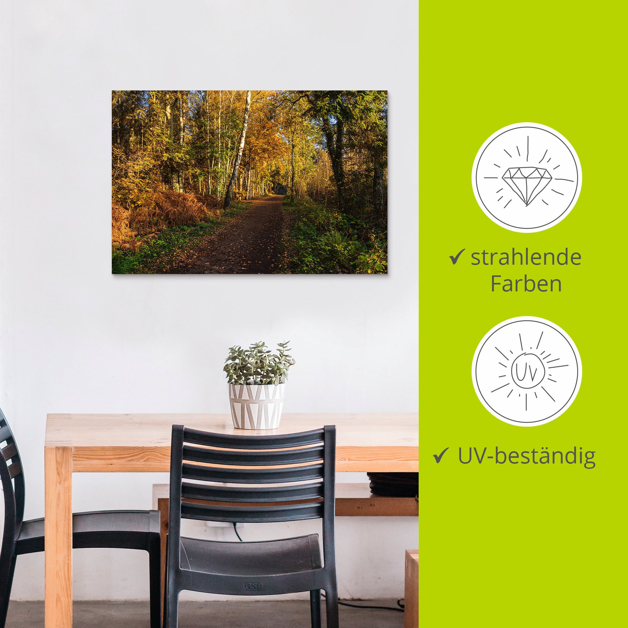 Artland Wandbild »Bäume herbstlich auf dem Fischland-Darß«, Waldbilder, (1 St.), als Alubild, Leinwandbild, Wandaufkleber oder Poster in versch. Größen