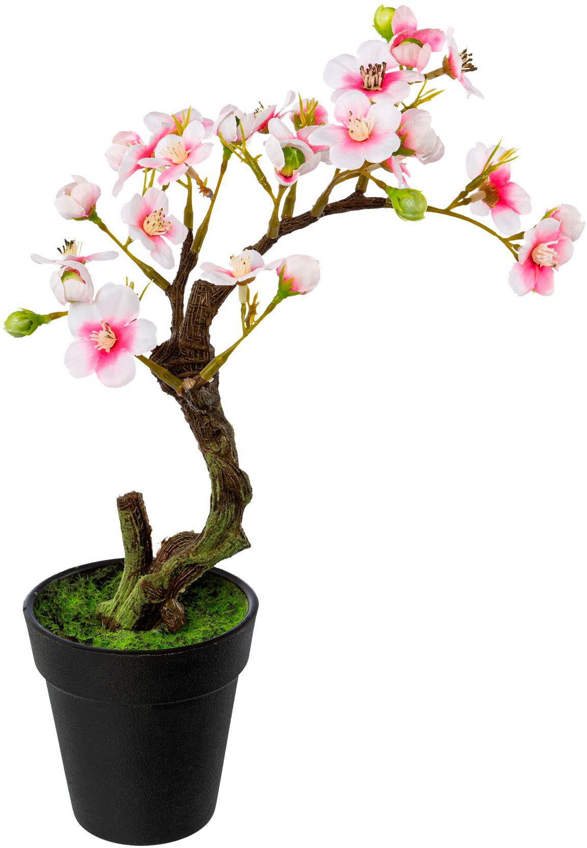 Creativ green Kunstblume "Mandelbonsai im Topf" günstig online kaufen