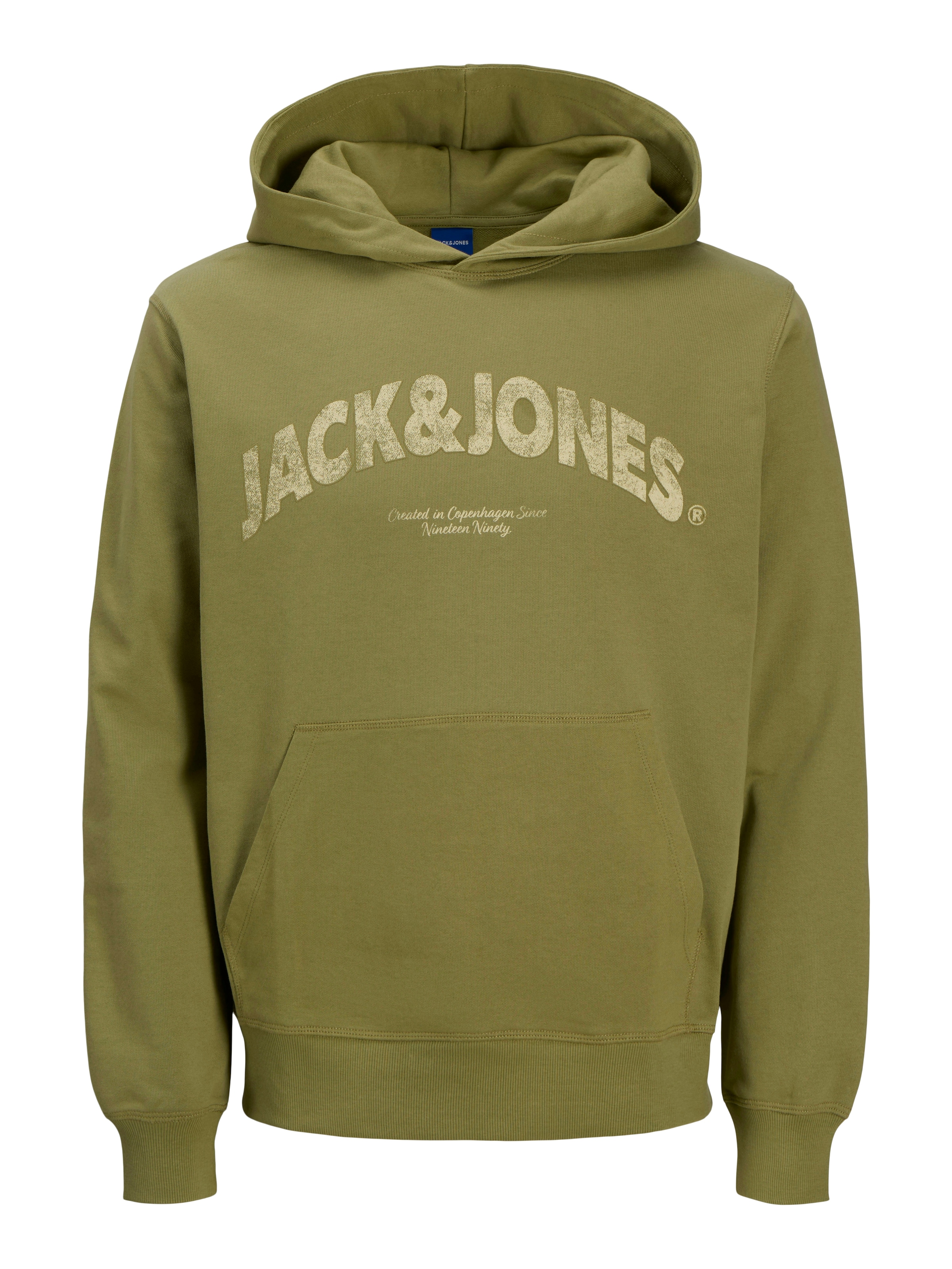 Jack & Jones PlusSize Kapuzensweatshirt »JORALMERIA SWEAT HOOD PLS«, mit Logo Print