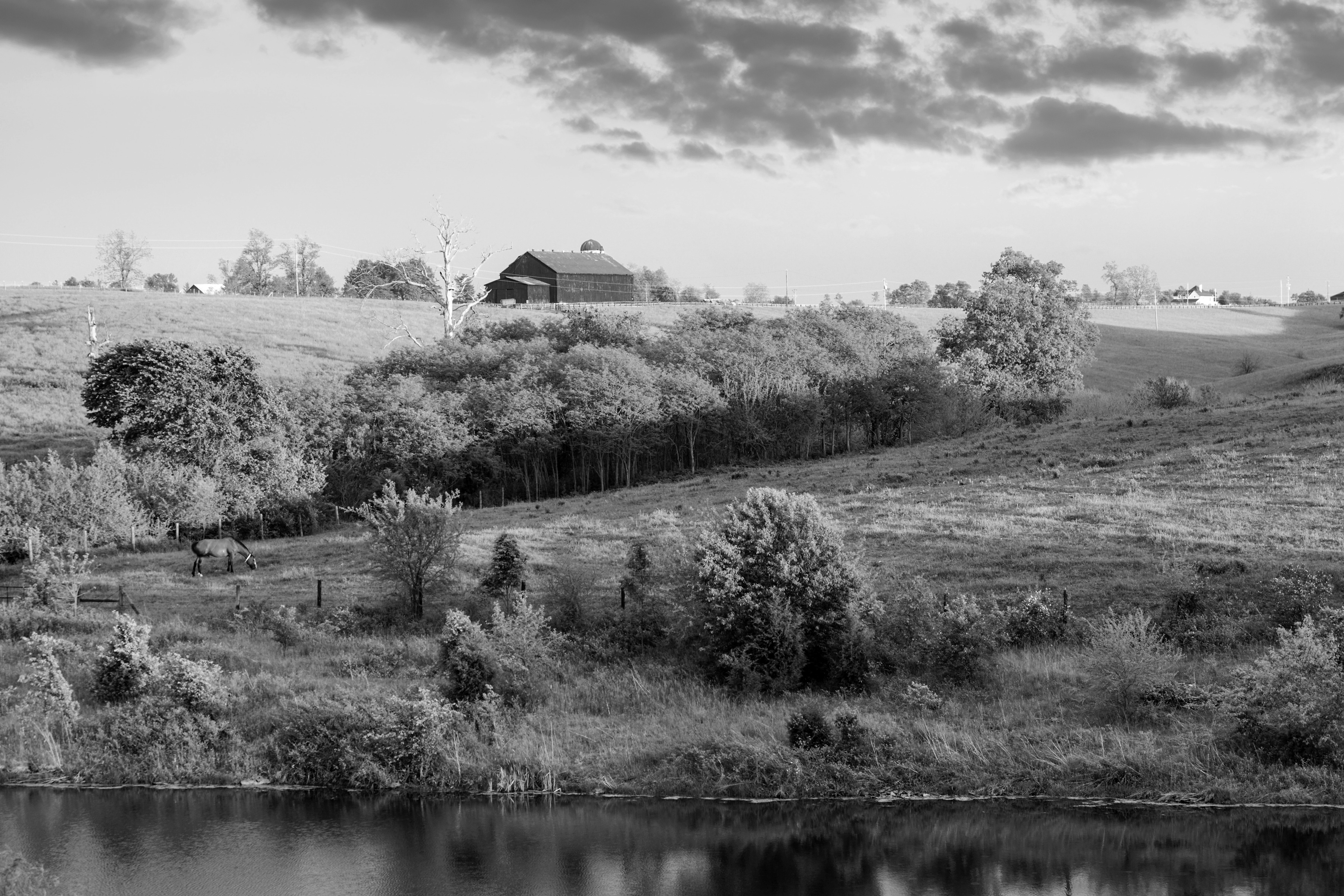 Papermoon Fototapete "Landschaft Schwarz & Weiß"