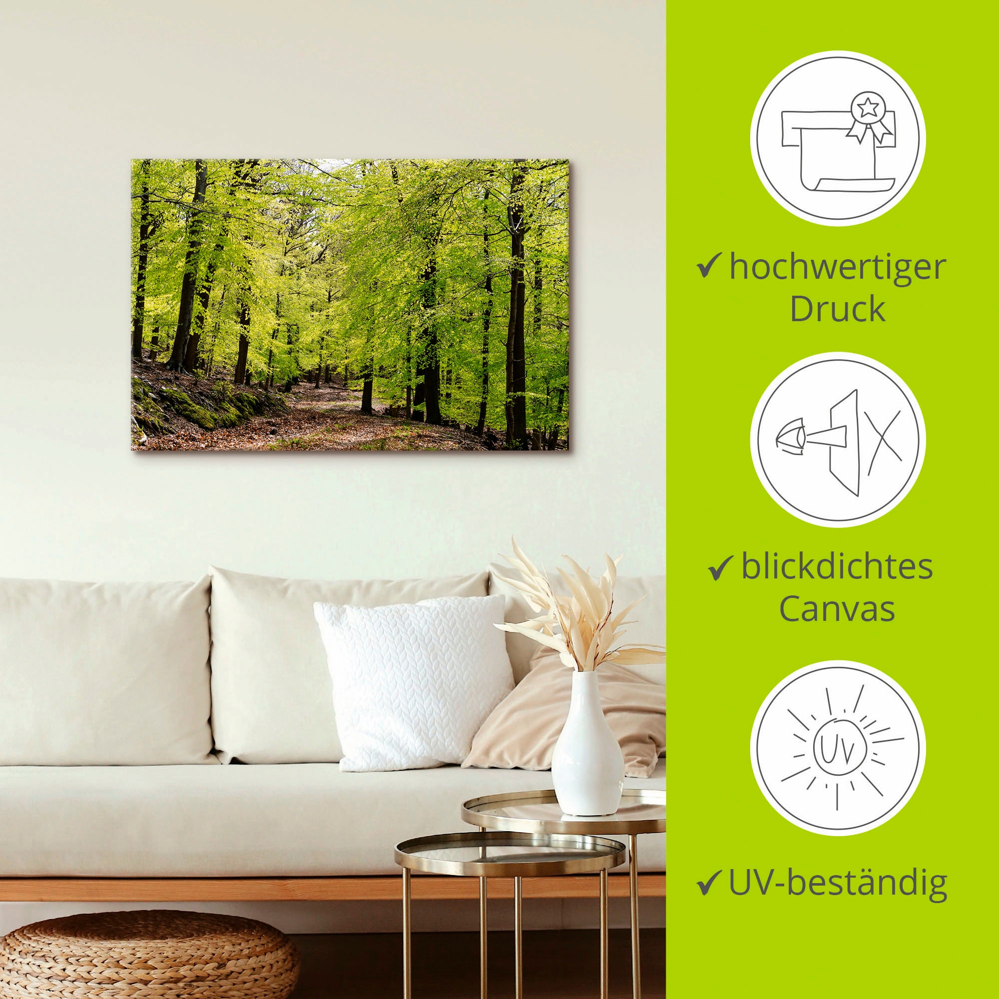 Artland Wandbild »Die Buchen im Frühling«, Wald, (1 St.), als Alubild, Outdoorbild, Leinwandbild, Poster, Wandaufkleber