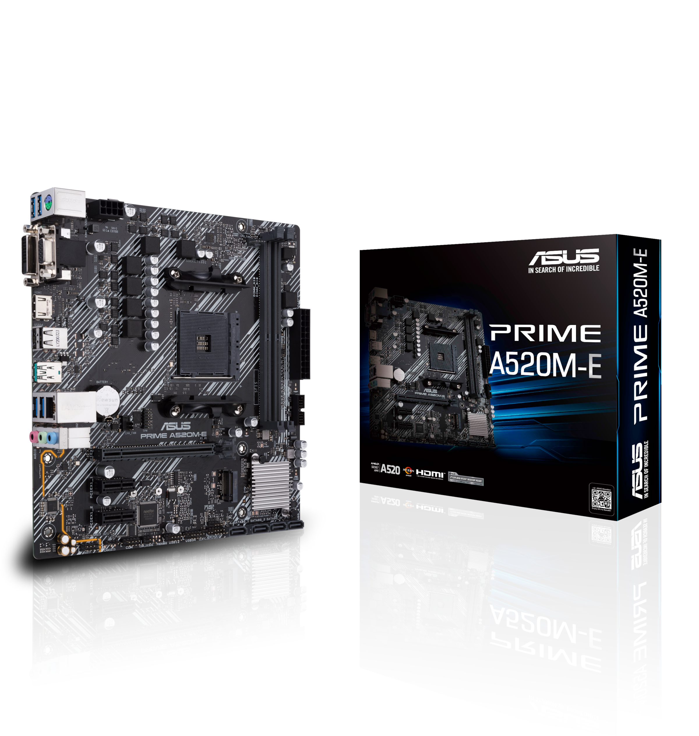 Asus Mainboard »PRIME A520M-E«