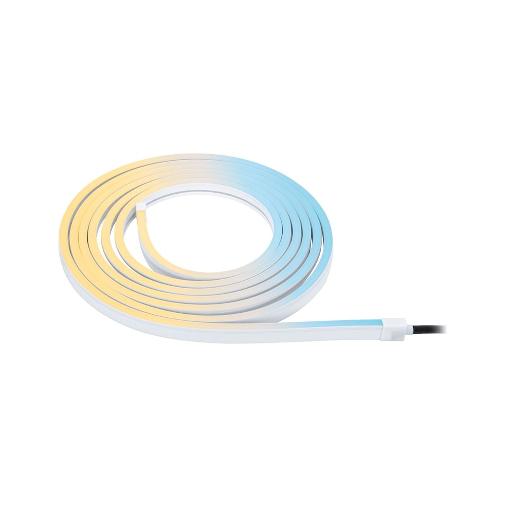 Paulmann LED Gartenstrahler »Plug & Shine Stripe Smooth Einzelstripe IP67 RGBW+ 22W Weiß«, 1 flammig-flammig