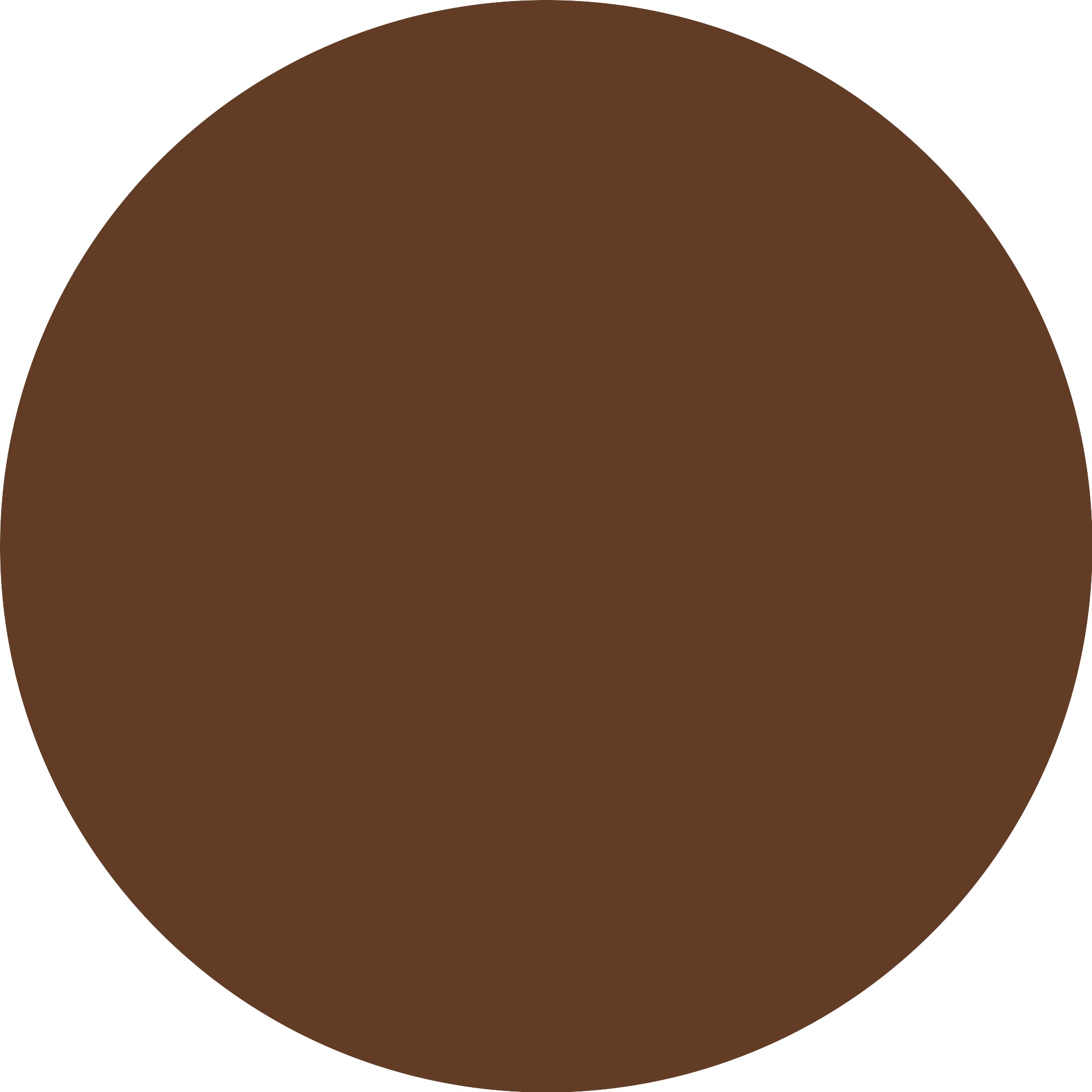 Essence Foundation »Silky BLUR HYDRATING LONGWEAR FOUNDATION«