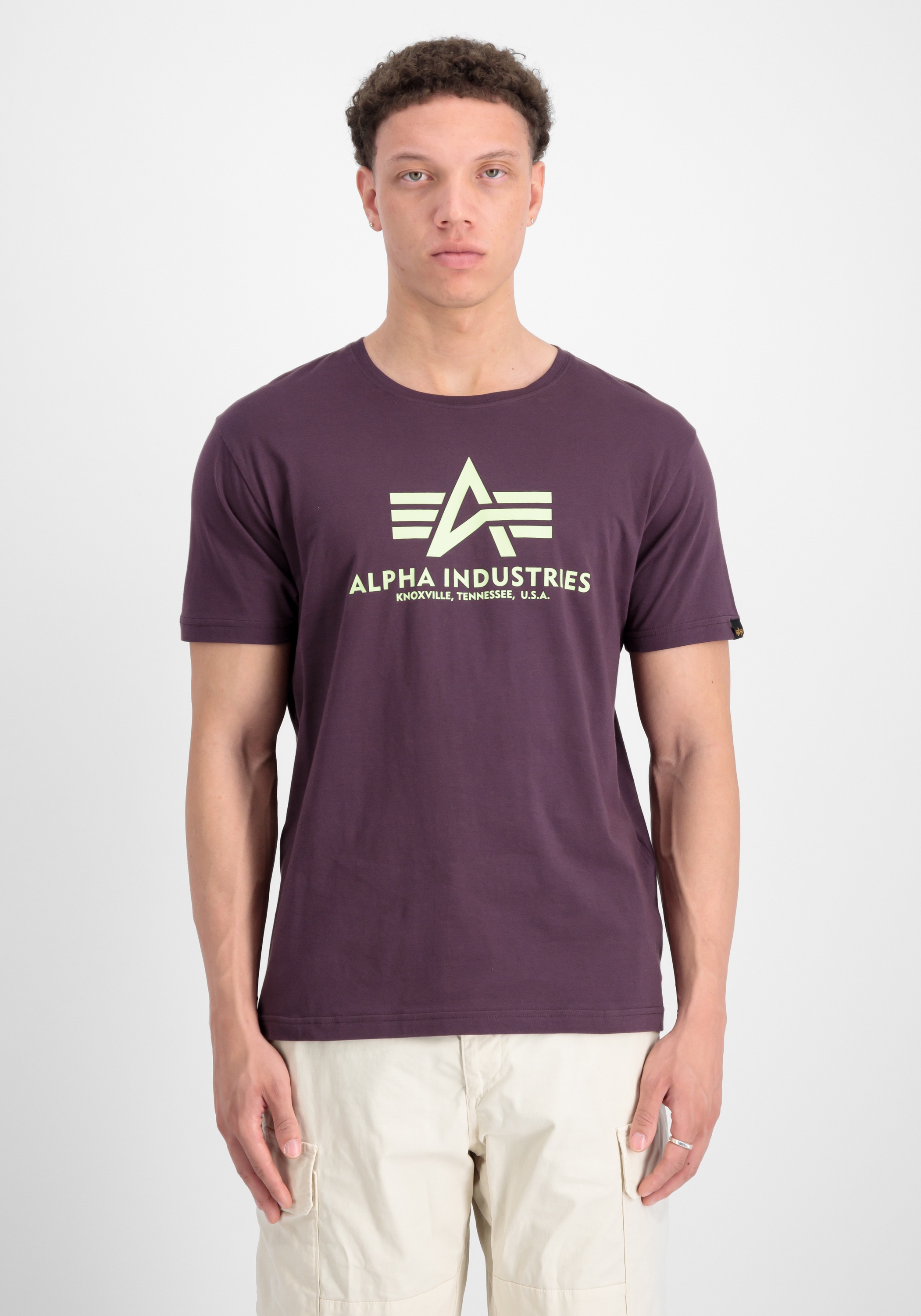 Alpha Industries T-Shirt »Alpha Industries Men - T-Shirts Basic T-Shirt«