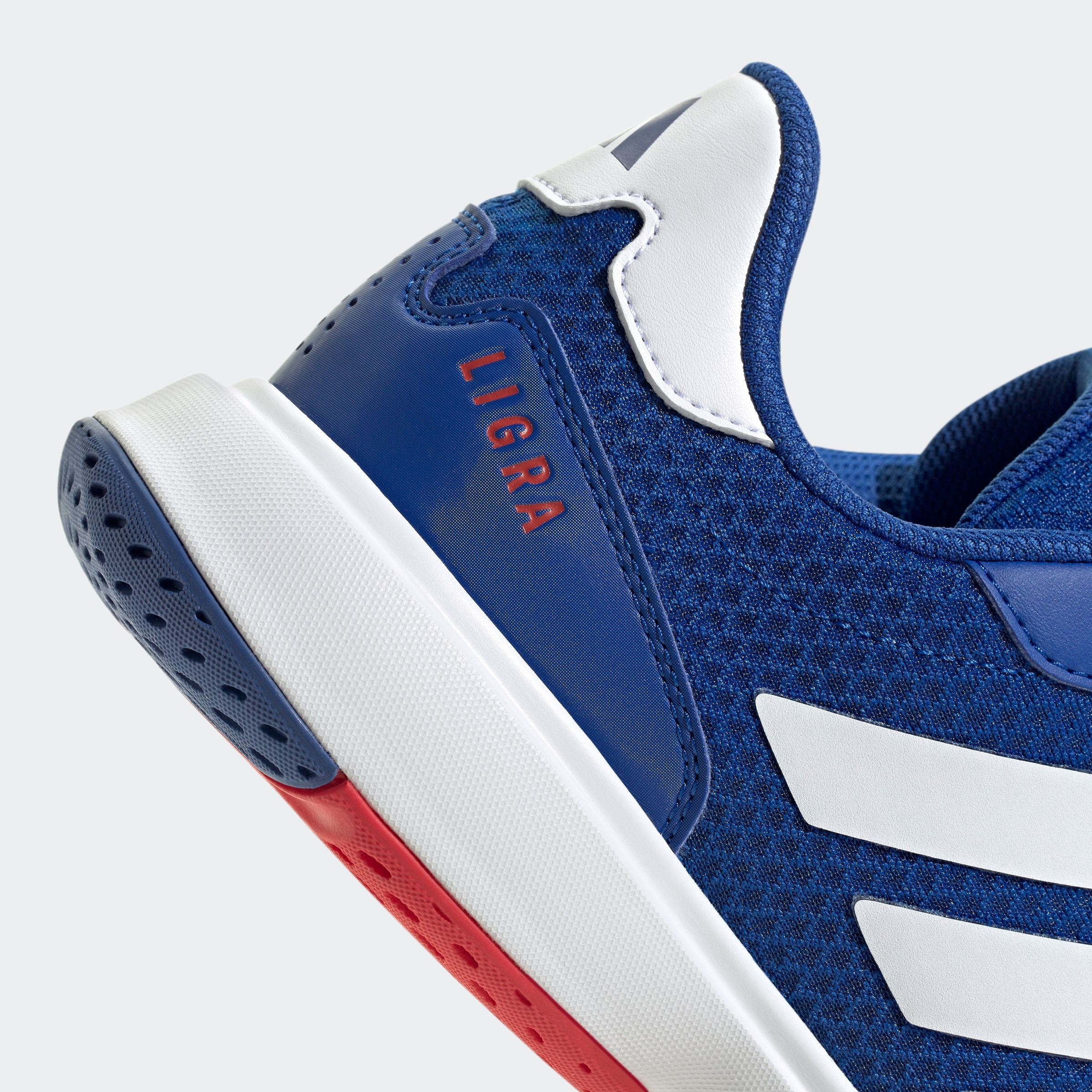 adidas Performance Hallenschuh »LIGRA 8 INDOOR«