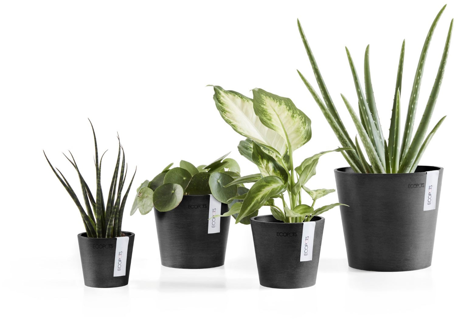 ECOPOTS Blumentopf »AMSTERDAM Mini Dark Grey« BxTxH: 13x13x11,4 cm