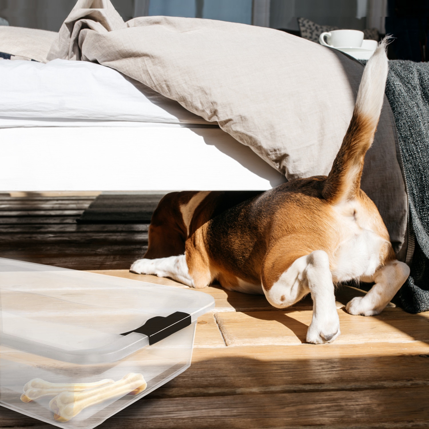 keeeper Aufbewahrungsbox »Konrad, Box mit Rollen, 4er Set, 28 L, 59,5 x 39,5 x 18 cm« durch Clips verschließbar, Griffe und Rollen am Boden