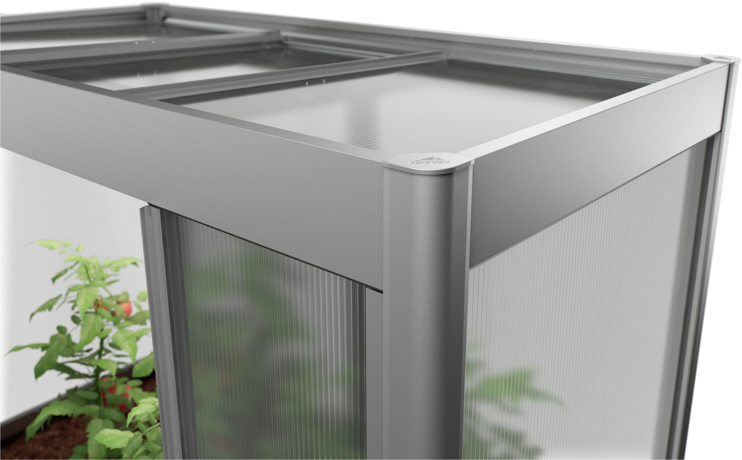 Biohort Gewächshaus »Florentina Gr. 2x1 MAXI, verschiedene Farben« Kompaktes Gewächshaus für hochwachsende Pflanzen