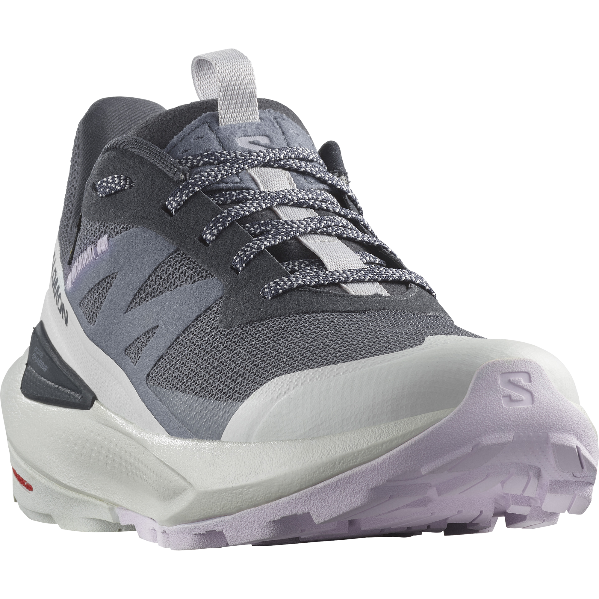 Salomon Outdoorschuh "ELIXIR ACTIV GORE-TEX W" wasserdicht dank Gore-Tex Me günstig online kaufen