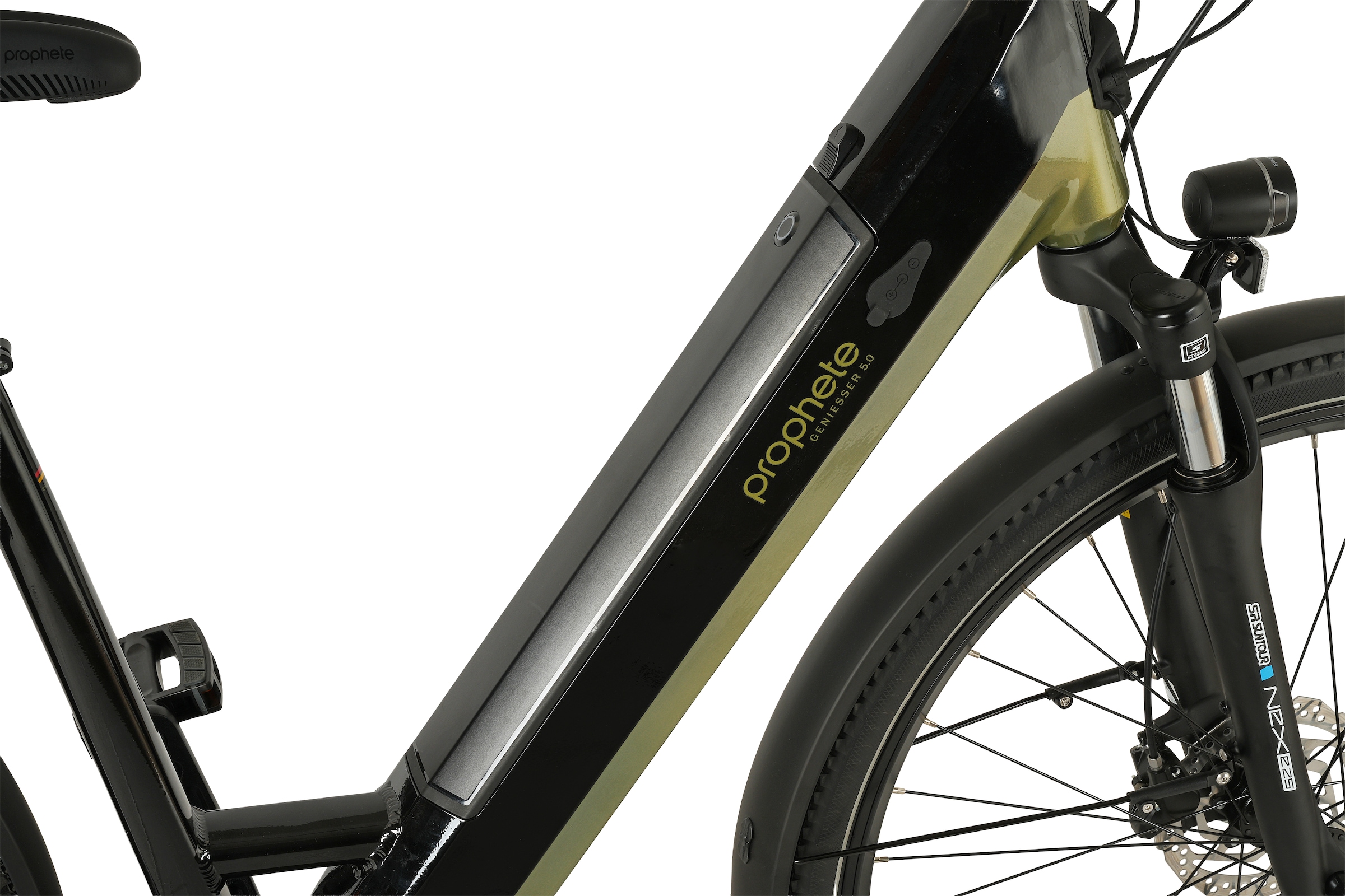 Prophete »Geniesser 6.0« 7 Gang Shimano Nexus Schaltwerk Nabenschaltung Mittelmotor 250 W