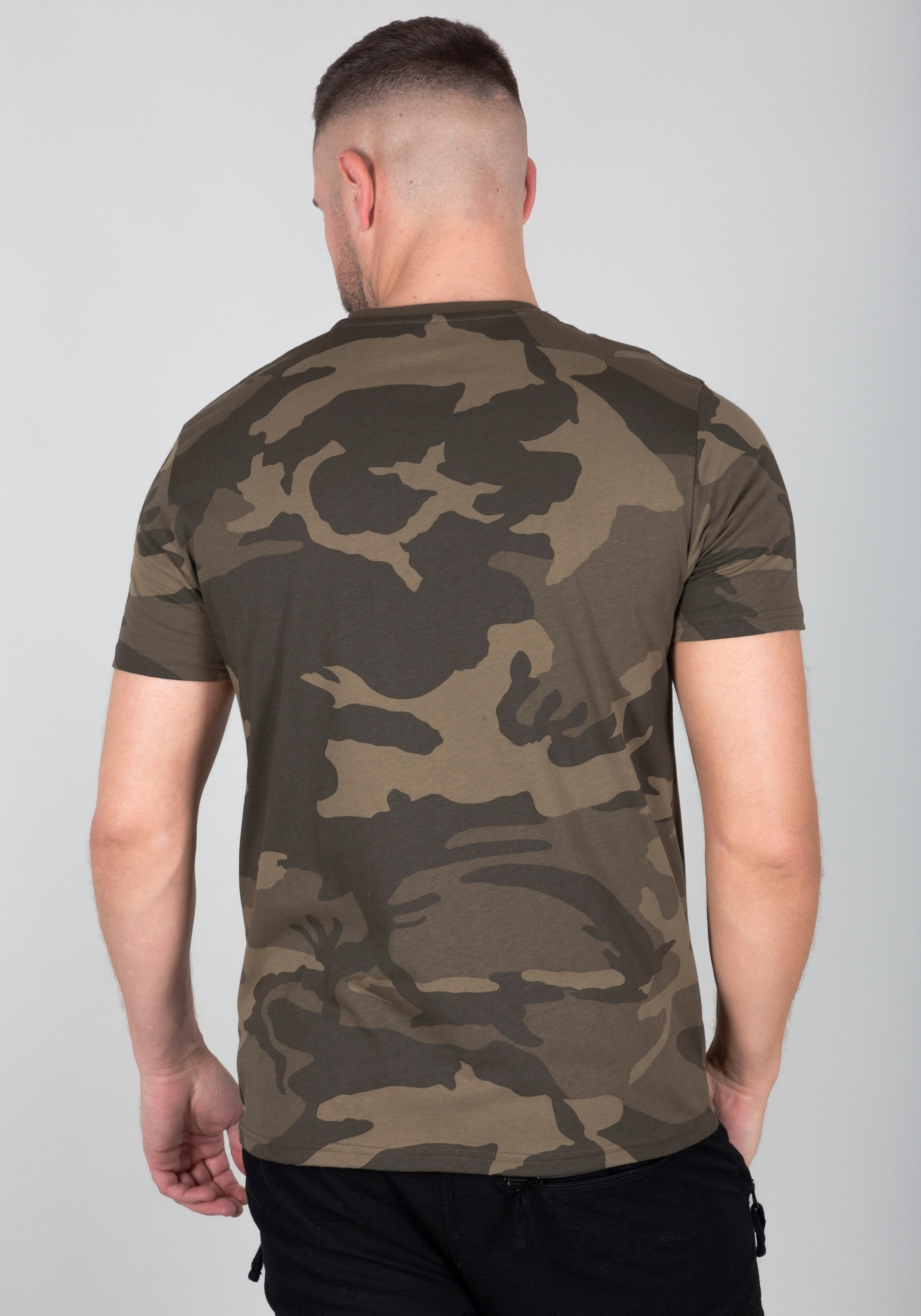 Alpha Industries T-Shirt »Basic T-Shirt«