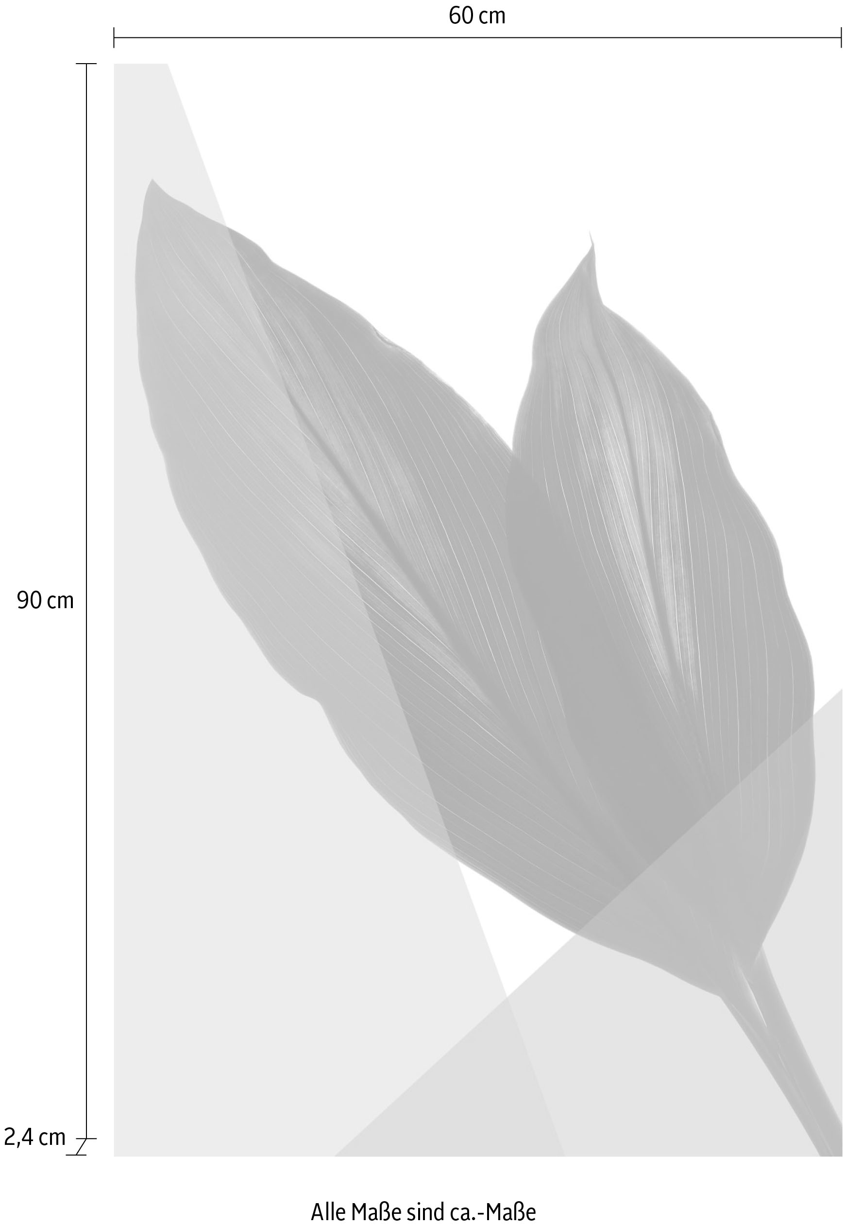 queence Acrylglasbild »Blätter« Blätter | Blätterbilder | Kunst | Pflanzen | Pflanzenbilder Fine Art-Print in Galeriequalität