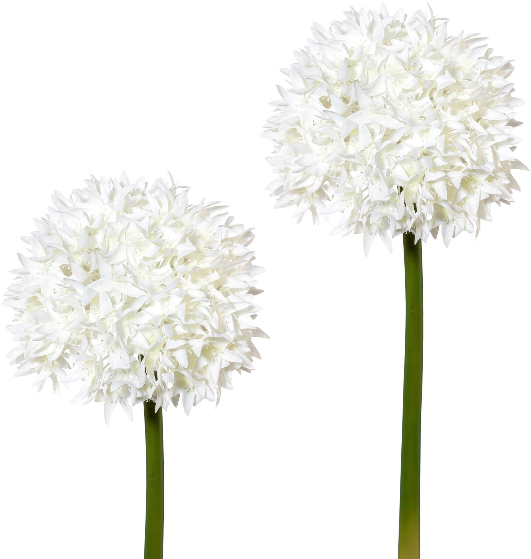 Creativ green Kunstblume, (2 St.), 2er Set kaufen
