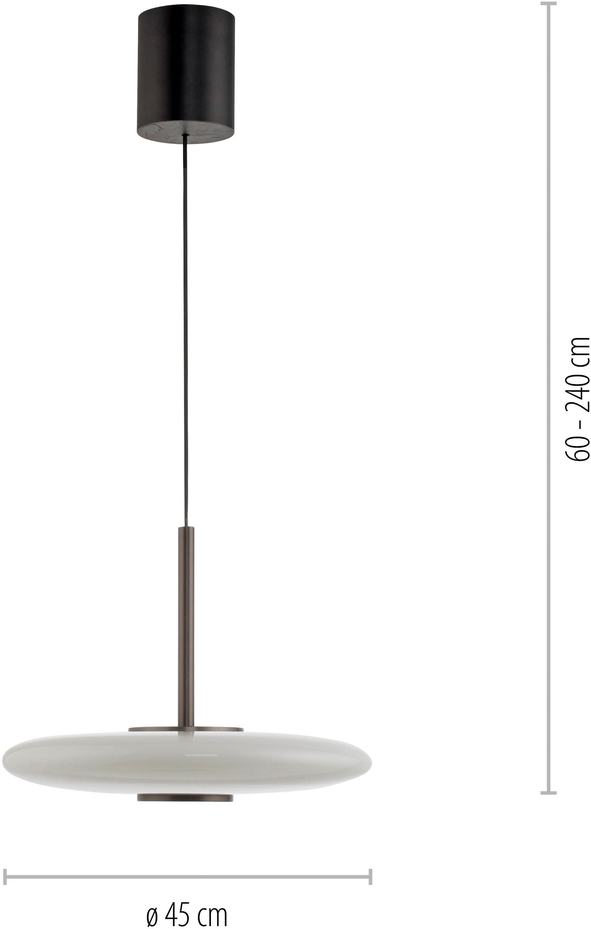 Neuhaus PURE LED Pendelleuchte »PURE E-Vitrum« LED-Board 1 Stk. warmweiß - kaltweiß e-LIFT®-Funktion, CCT, dimmbar über Fernbedíenung