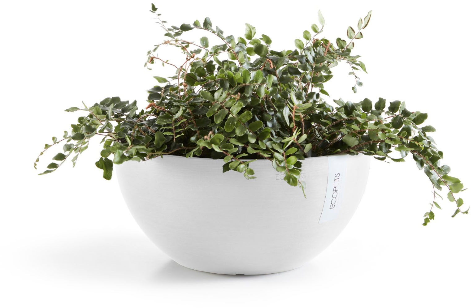 ECOPOTS Blumentopf »Brussels 35 Weiß« für innen und außen: frostsicher, bruchsicher und lichtbeständig