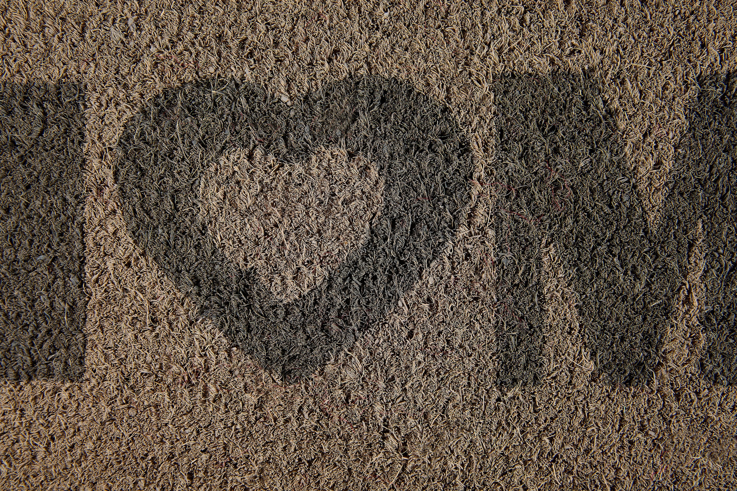 Andiamo Fußmatte »Kokos Home Heart«, rechteckig, 15 mm Höhe, Schmutzfangmatte, Kokosmatte, mit Spruch, In- und Outdoor geeignet