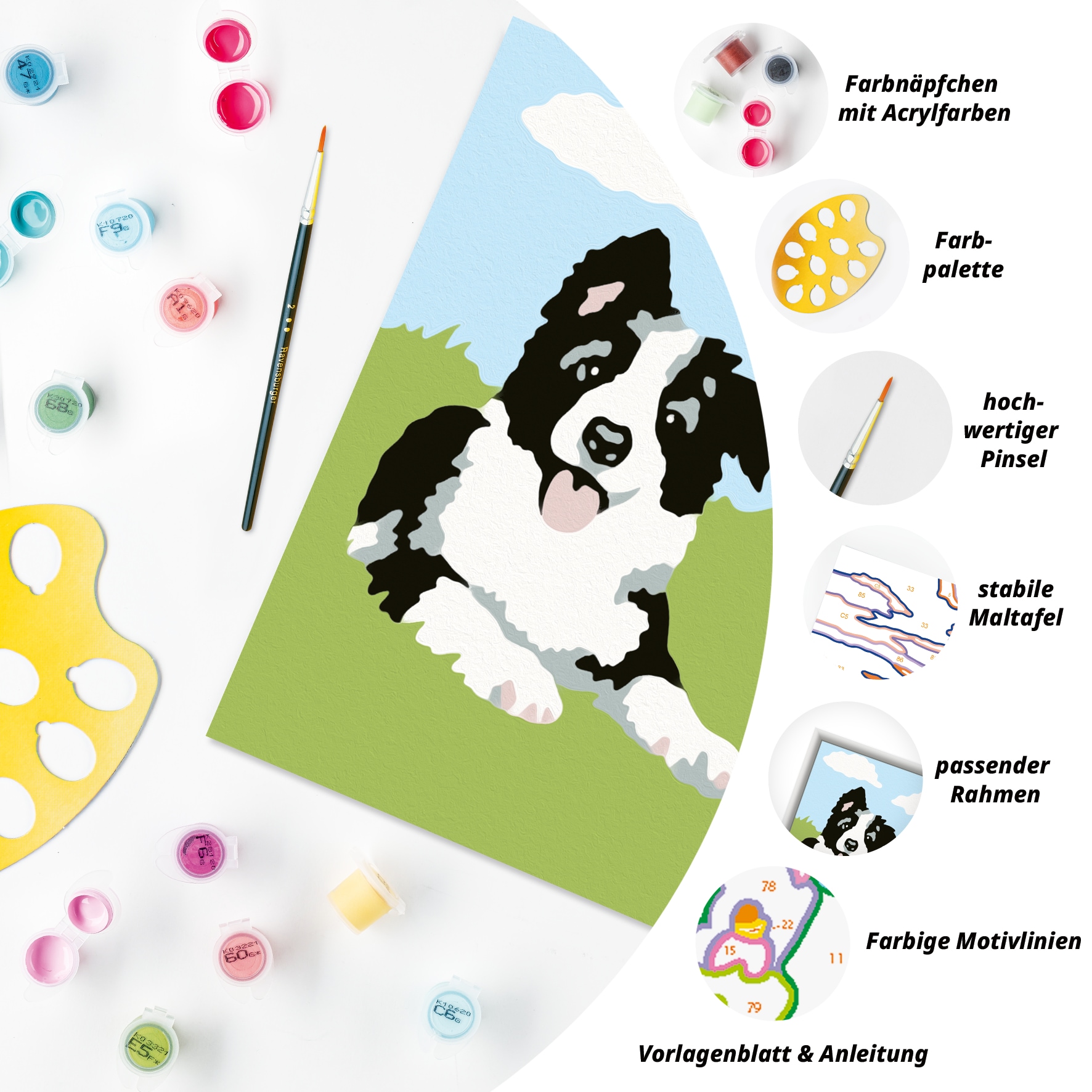 Ravensburger Malen nach Zahlen »CreArt, Border Collie Welpe«, Made in Europe