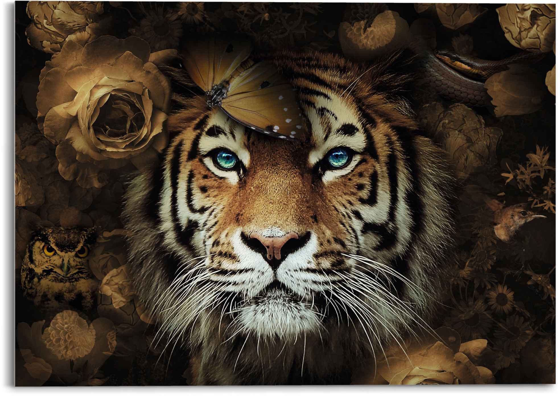 Reinders Glasbild "Glasbild Tiger Tierreich - Blumen - Herbstfarben - Blaue Augen", Tiger, (1 St.)