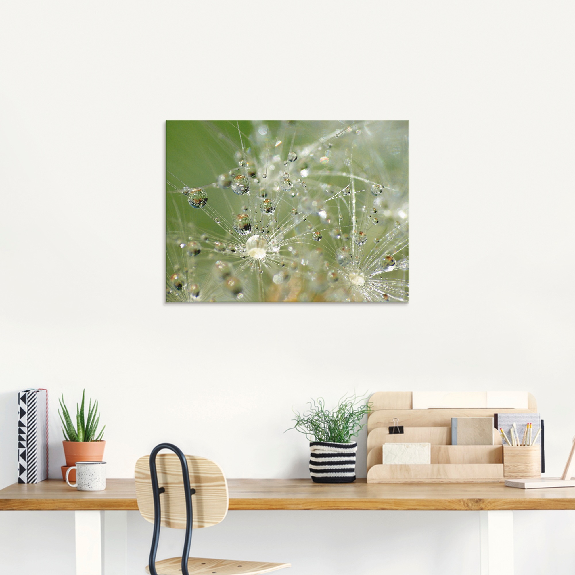 Artland Glasbild »Wassertropfen Pusteblume«, Blumen, (1 St.), in verschiedenen Größen