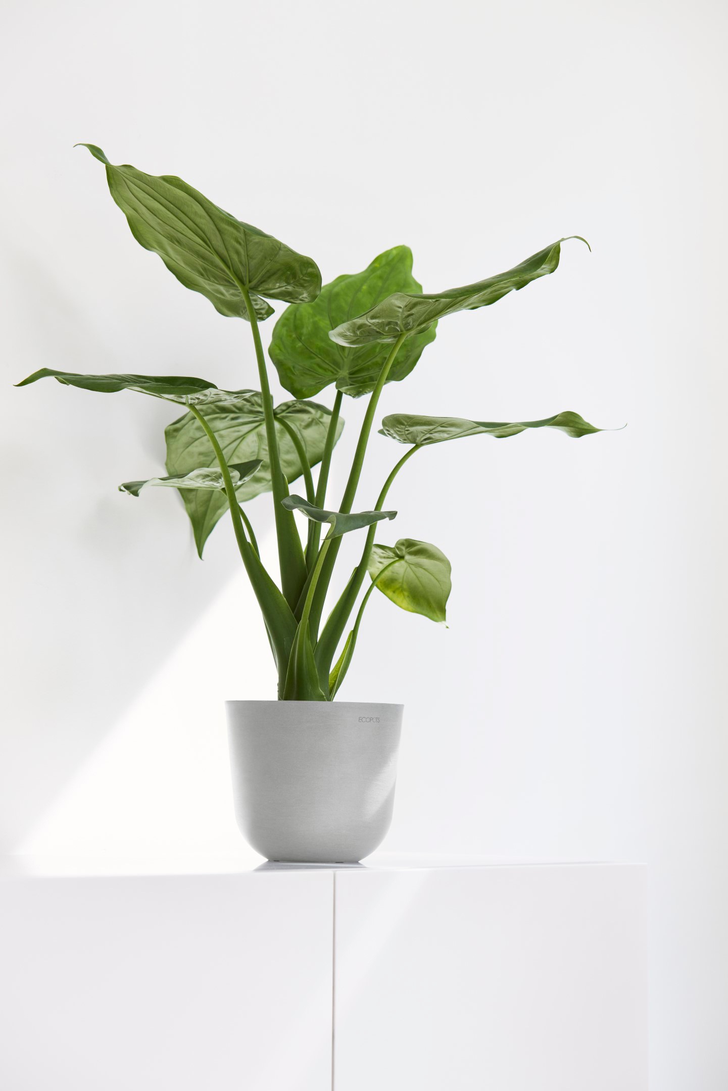 ECOPOTS Blumentopf »Oslo Mini 16 Weißgrau«, für den Innenbereich