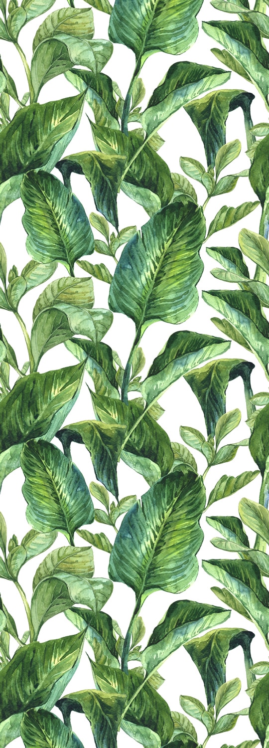Vinyltapete »Green Leaves«, 90 x 250 cm, selbstklebend