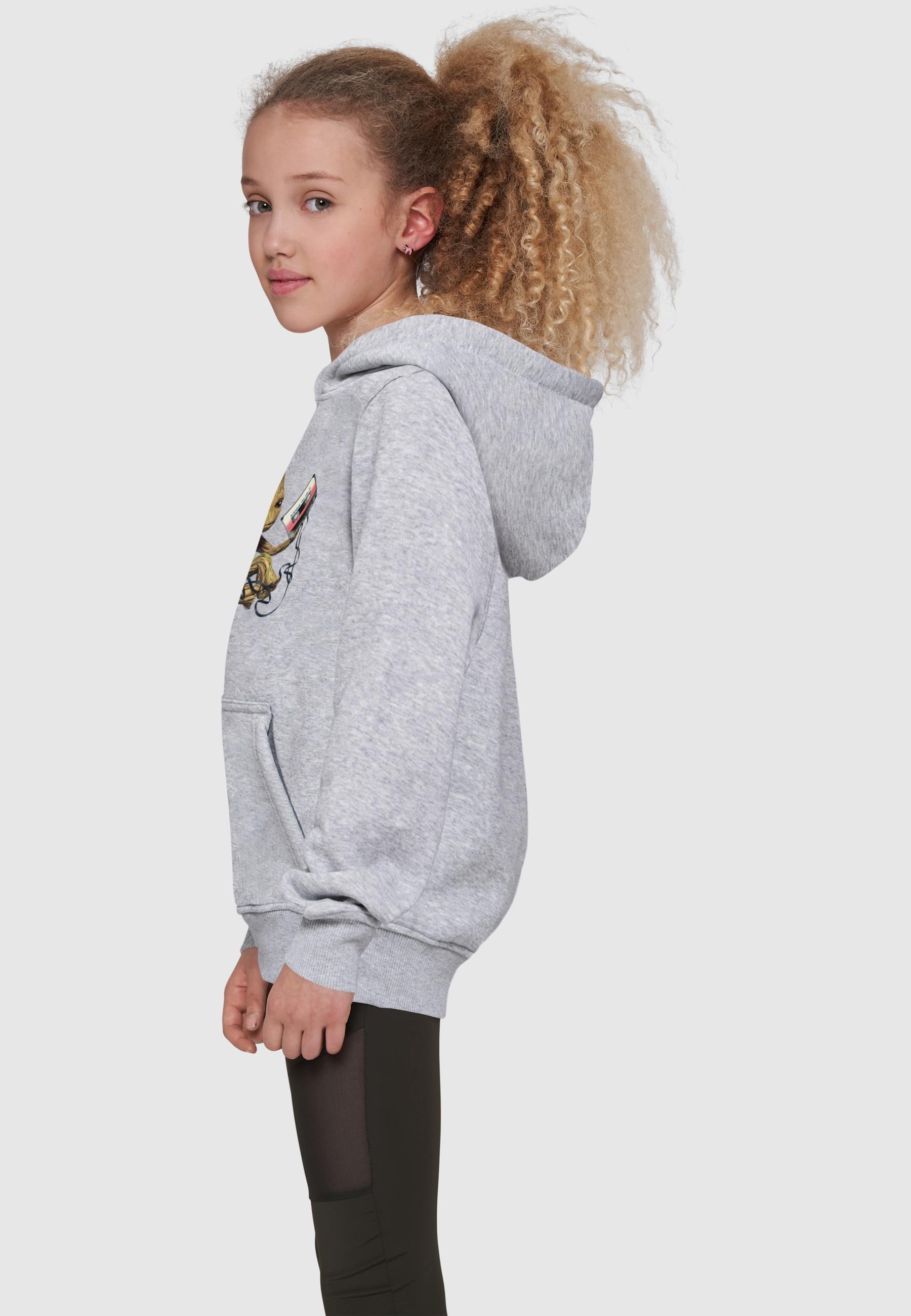 ABSOLUTE CULT Kapuzensweatshirt »ABSOLUTE CULT Herren«, (1 tlg.)