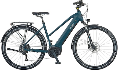 E-Bike »Entdecker 3.0«, 9 Gang, Shimano, Mittelmotor 250 W