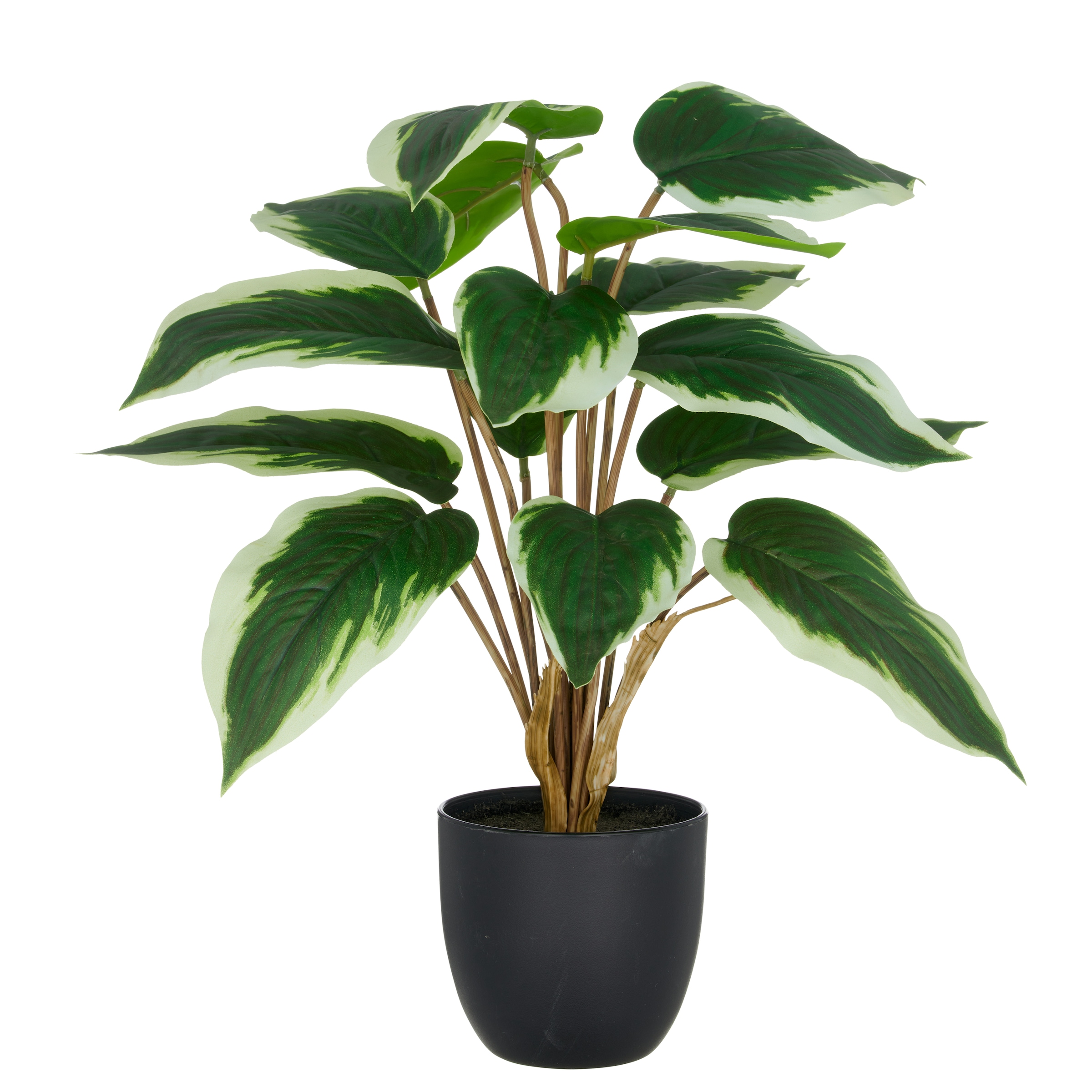 Creativ green Kunstpflanze "Hosta", mit naturgetreuem Blattwerk günstig online kaufen