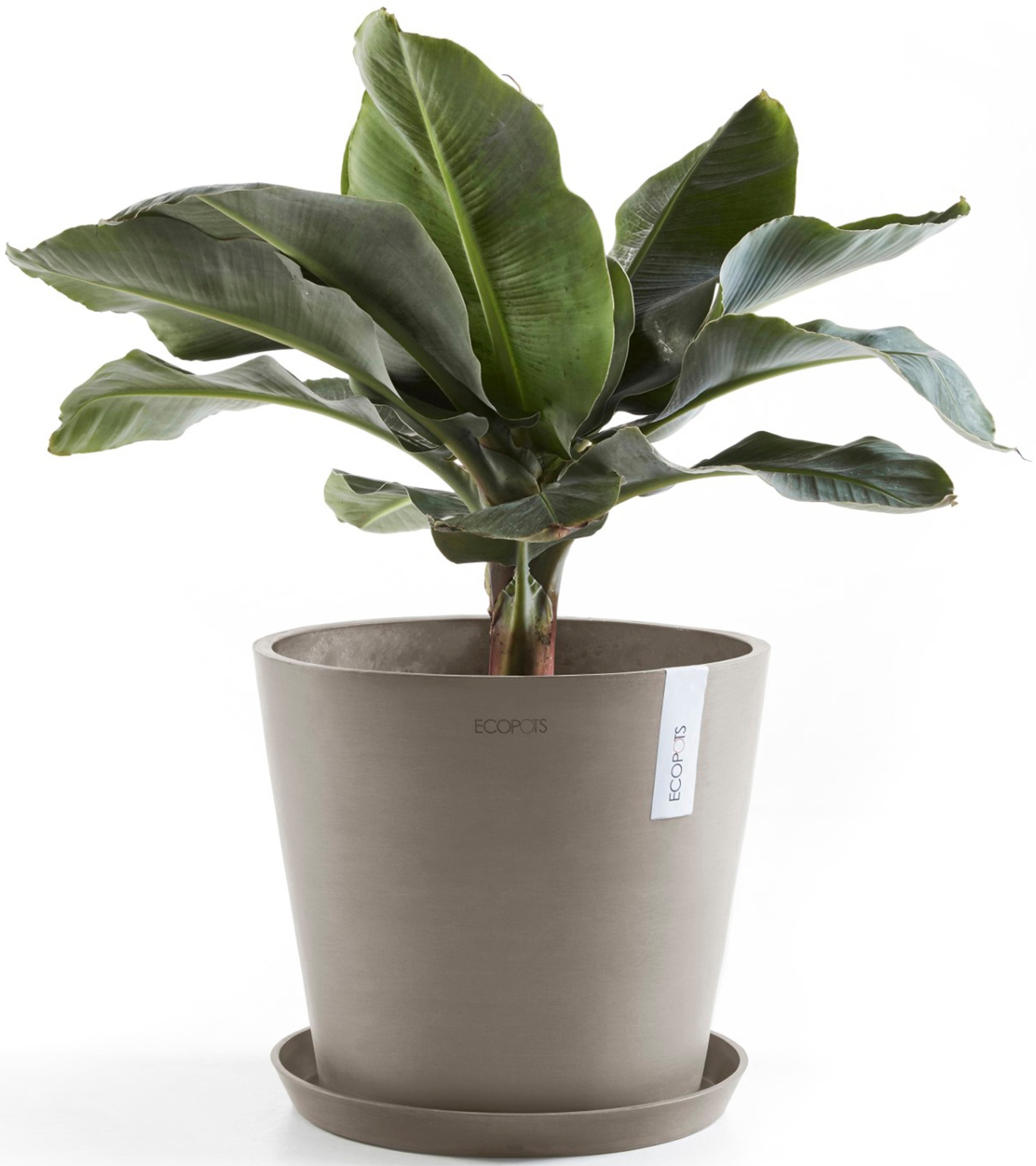 ECOPOTS Blumentopf »Amsterdam 40 + Wassersystem Taupe«, für innen und außen: frostsicher, bruchsicher und lichtbeständig
