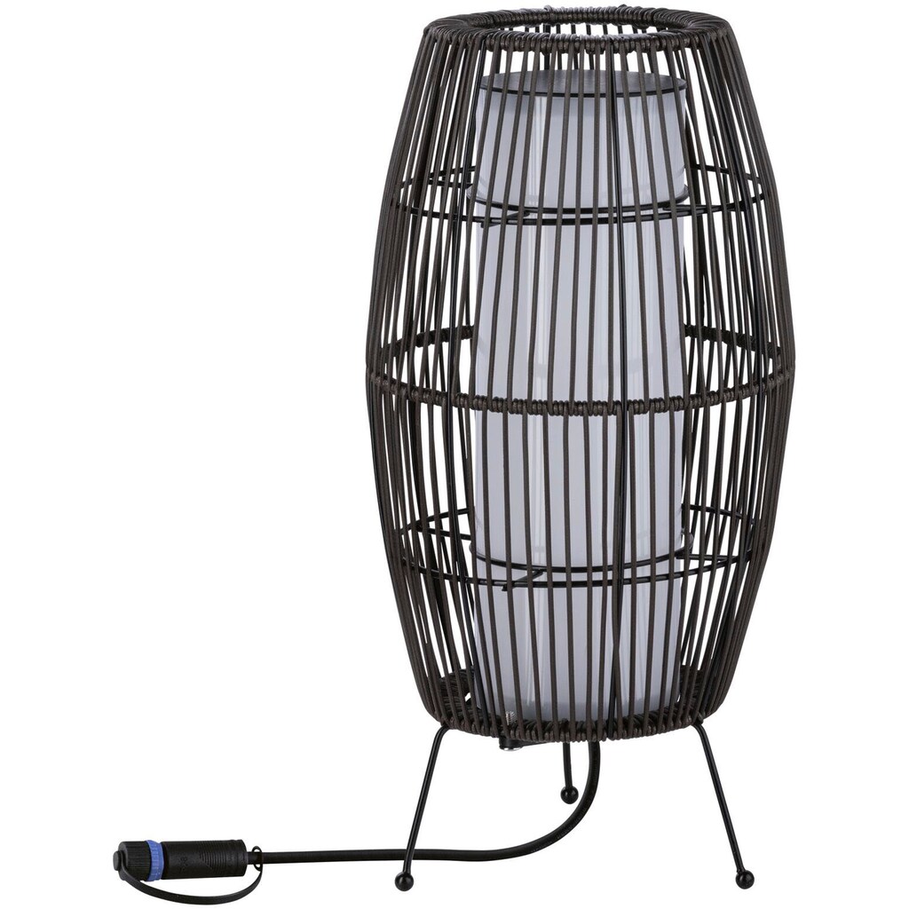 Paulmann LED Gartenleuchte »Outdoor Plug & Shine Basket 40 RGBW ZigBee IP44«, 1 flammig-flammig