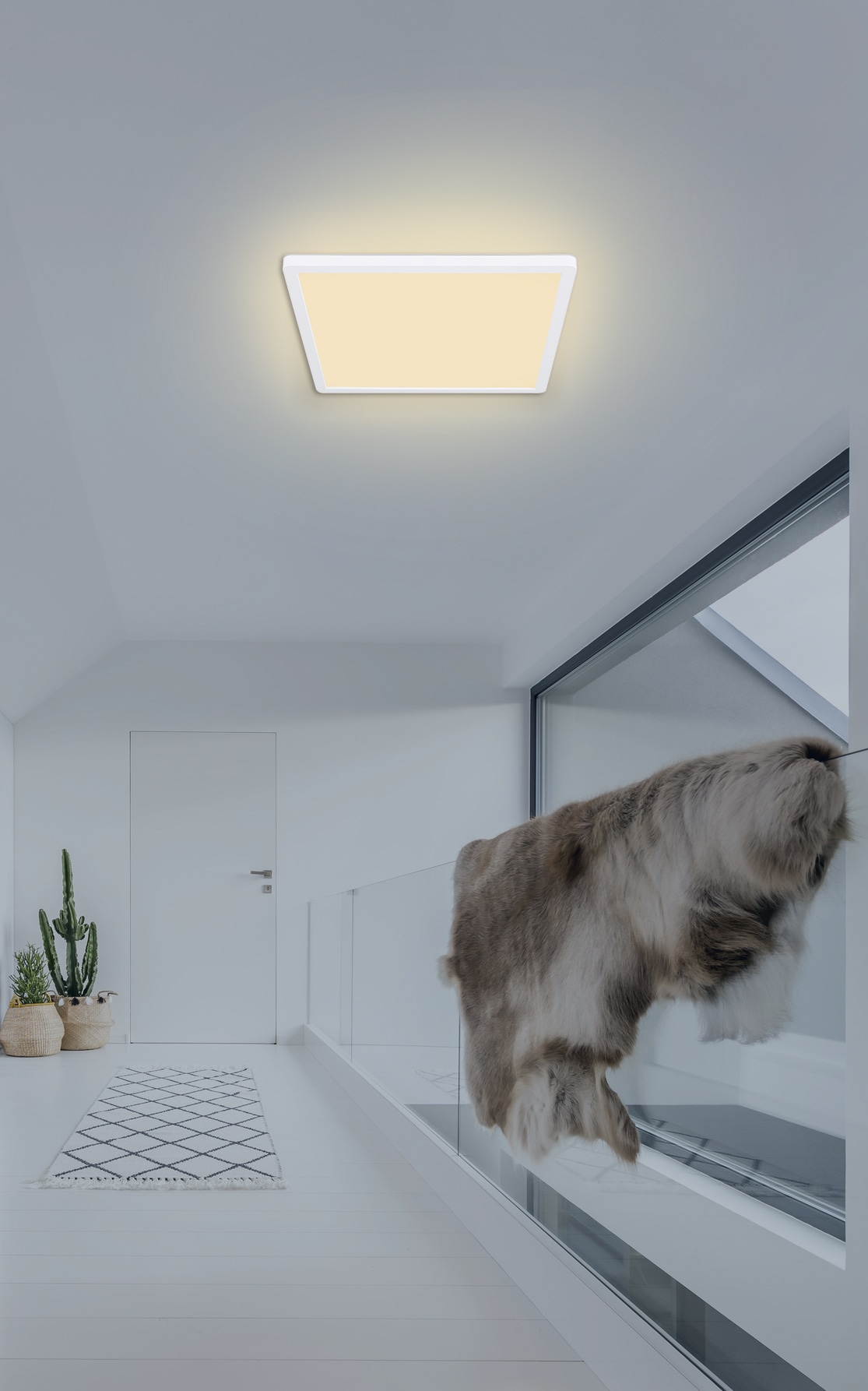 GLOBO LIGHTING LED Deckenleuchte »SAPANA«, Leuchtmittel LED-Modul | LED fest integriert, Deckenlampe/Quadrat/Wohnzimmer/Schlafzimmer/modern