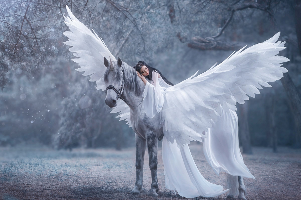 Papermoon Fototapete "EINHORN MIT FEE IM MÄRCHENWALD"