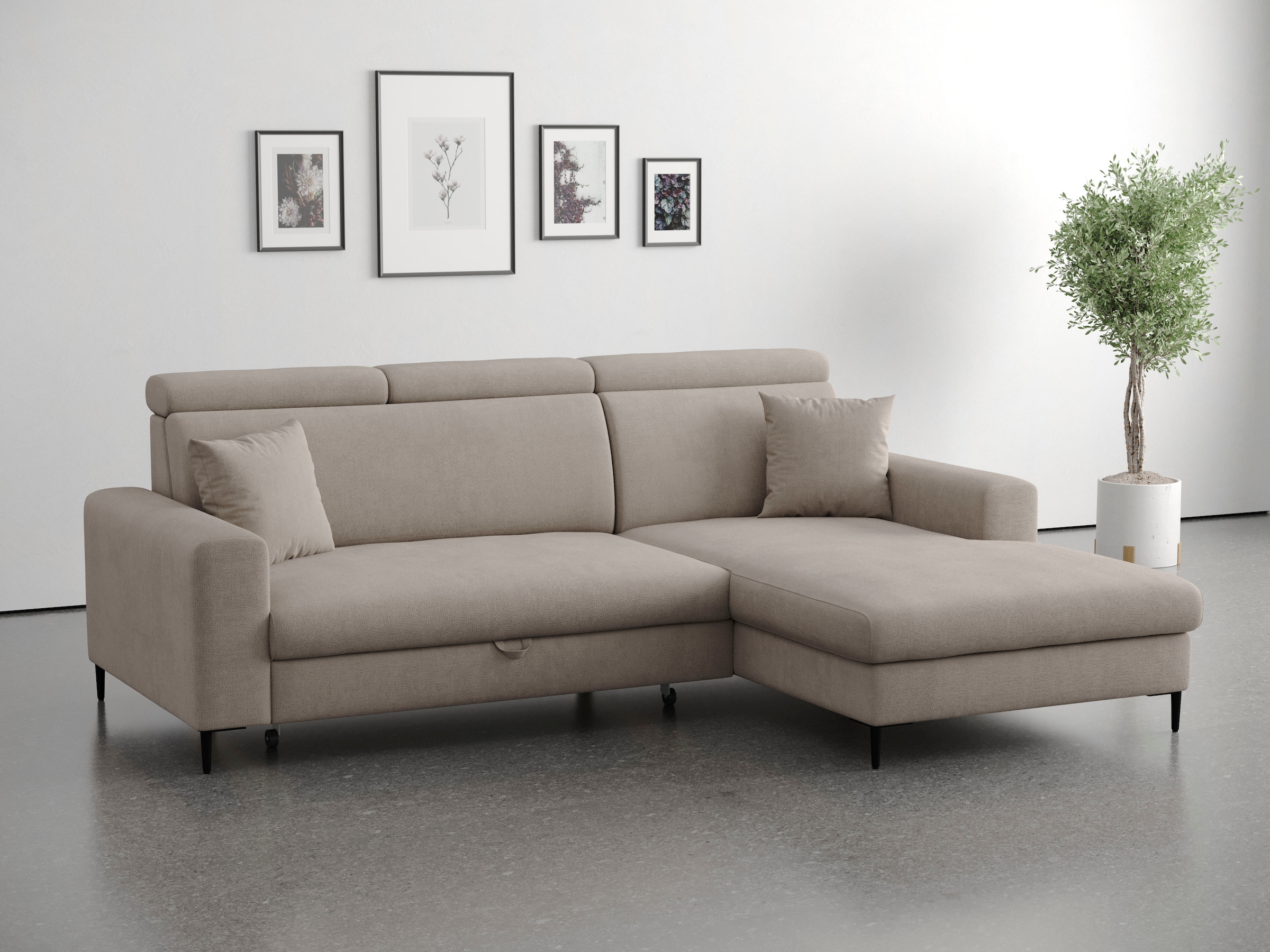 Trends by HG Ecksofa "Nizza, L-Form, B: 250cm" mit Schlaffunktion und Bettkasten