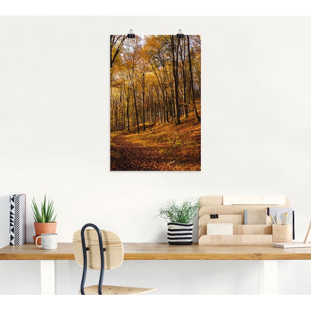 Artland Wandbild »Schöne Herbstfarben bei Sonnenuntergang«, Waldbilder, (1  St.), als Alubild, Leinwandbild, Wandaufkleber oder Poster in versch. Größen  kaufen | BAUR