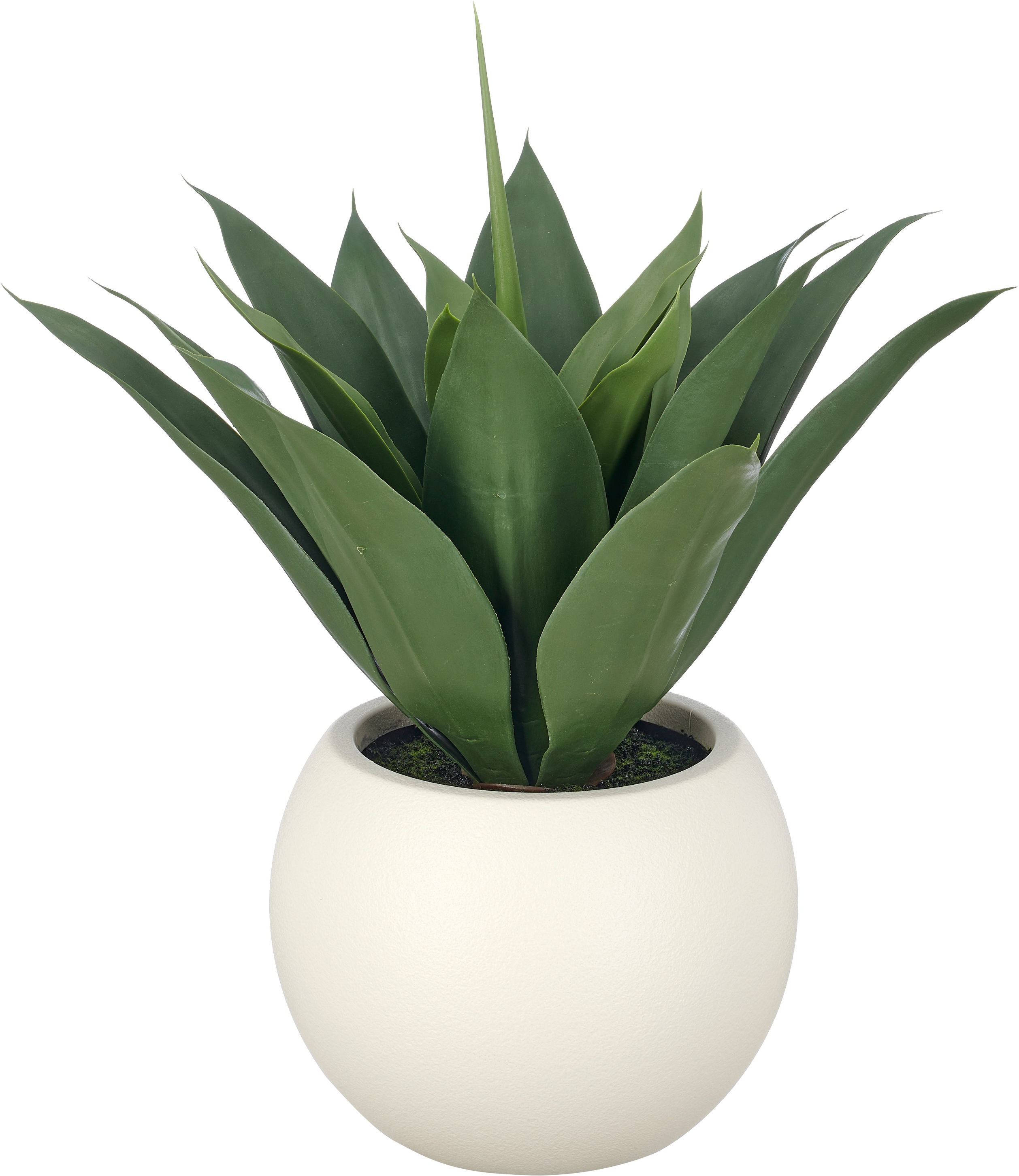 Creativ green Kunstpflanze "Agave attenuata" mit naturgetreuem Blattwerk