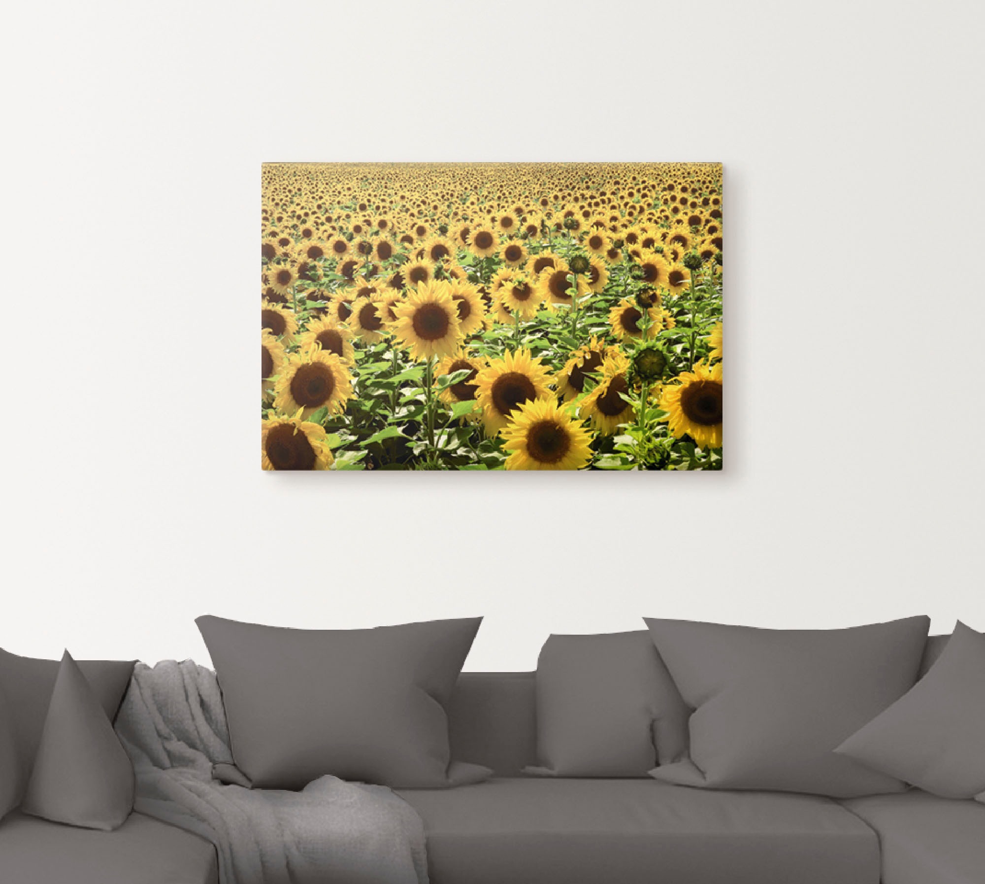 Artland Wandbild "Sonnenblumenfeld" Blumen 1 Stk. tlg. als Alubild, Leinwan günstig online kaufen