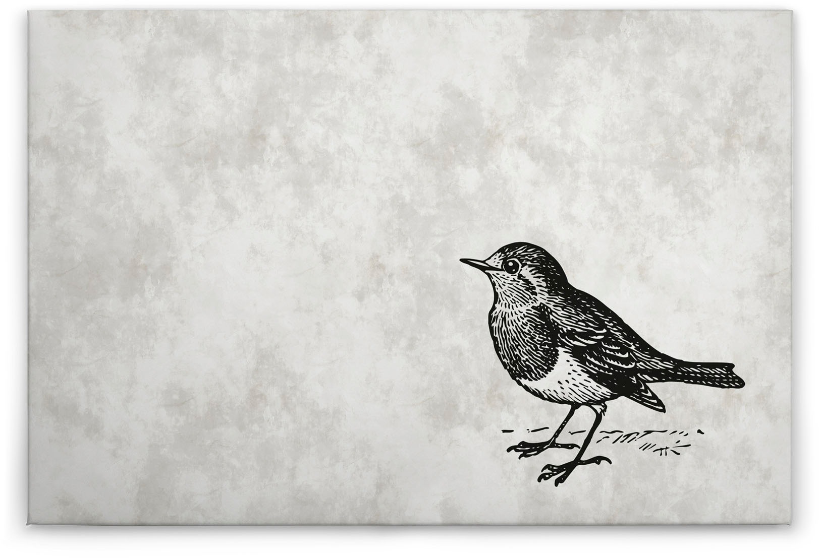 A.S. Création Leinwandbild »sketchpad 5«, Kunst-Vögel-Kinder, (1 St.), Schwarz-Weiß Zeichnung Vogel Keilrahmen Leinwand-Bild Wohnzimmer Wand