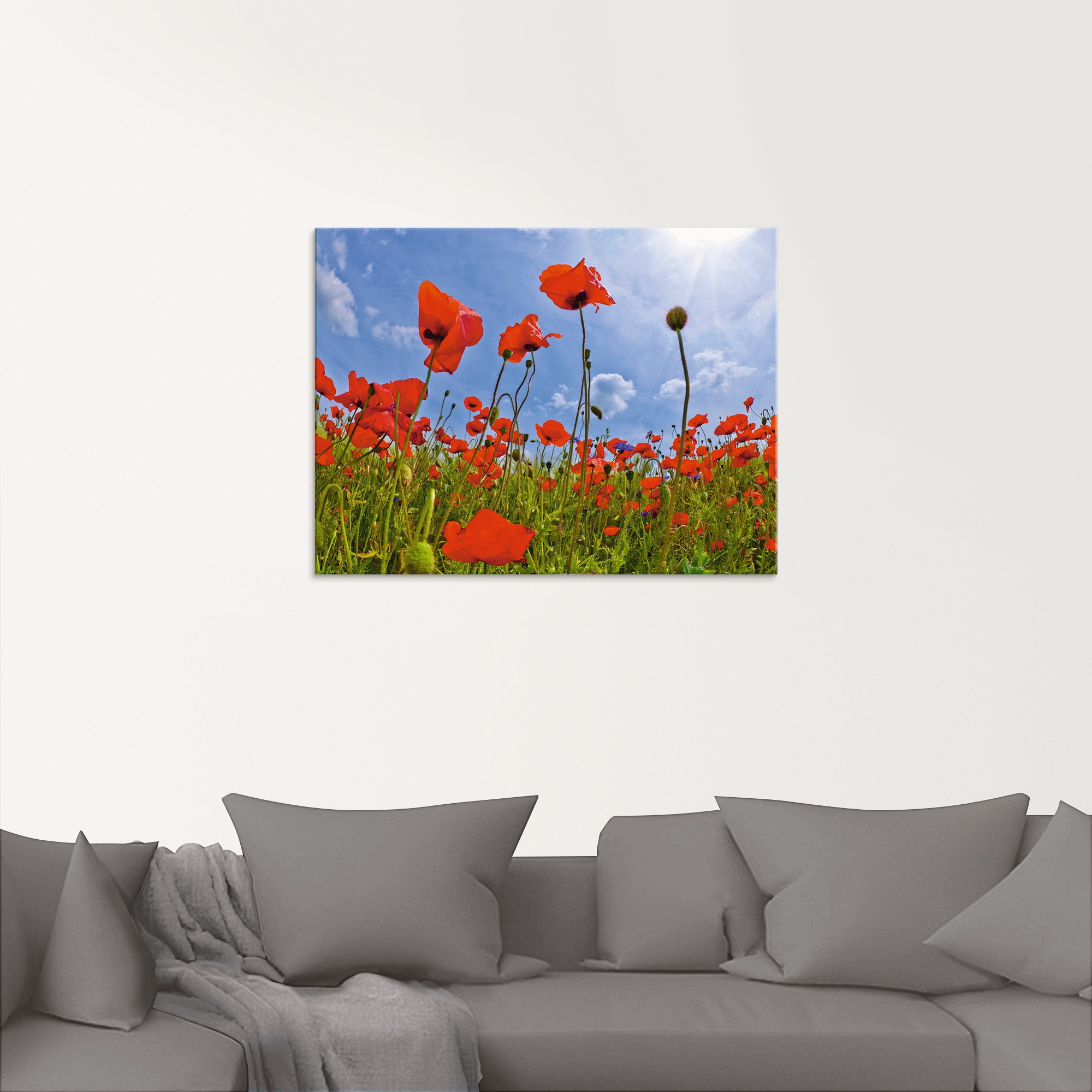 Artland Glasbild "Mohnblumenfeld" 1 Stk. tlg. in verschiedenen Größen günstig online kaufen