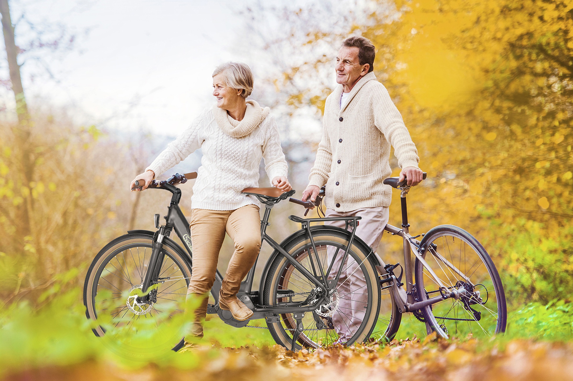 SachsenRad E-Bike »C5«, 7 Gang, Shimano, SHIMANO 7SP TOURNEY TY300, Mittelmotor 250 W, TFT Farb-LCD-Display, Fahrmodus Pedelec, 
LED-Frontlicht, Alarmanlage