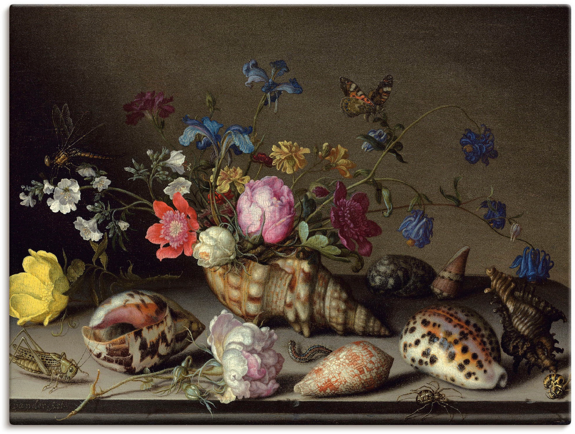 Leinwandbild »Blumen, Muscheln und Insekten«, Arrangements, (1 St.), auf Keilrahmen...