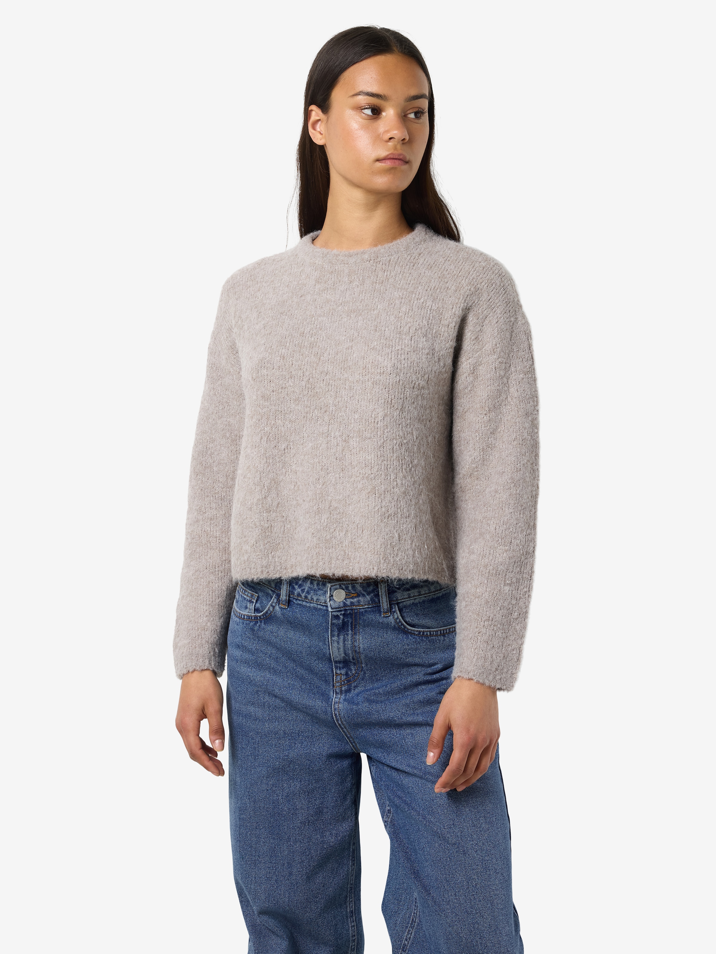 Noisy may Rundhalspullover »NMDOLLY L/S O-NECK KNIT FWD NOOS«