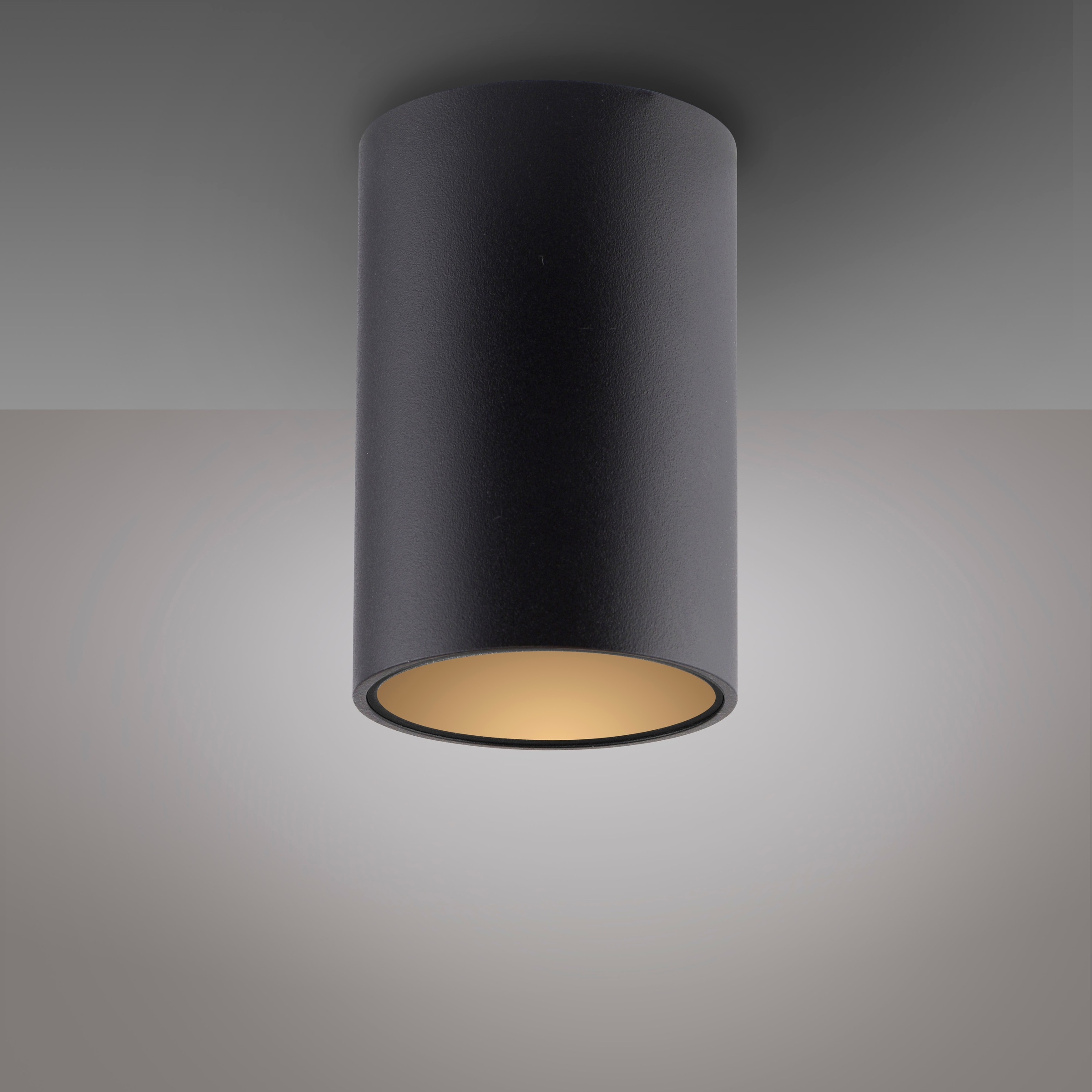 Neuhaus PURE LED Deckenleuchte »PURE Point« LED-Board 1 Stk. Warmweiß Dimmfähig über separaten Tronicdimmer, IP44