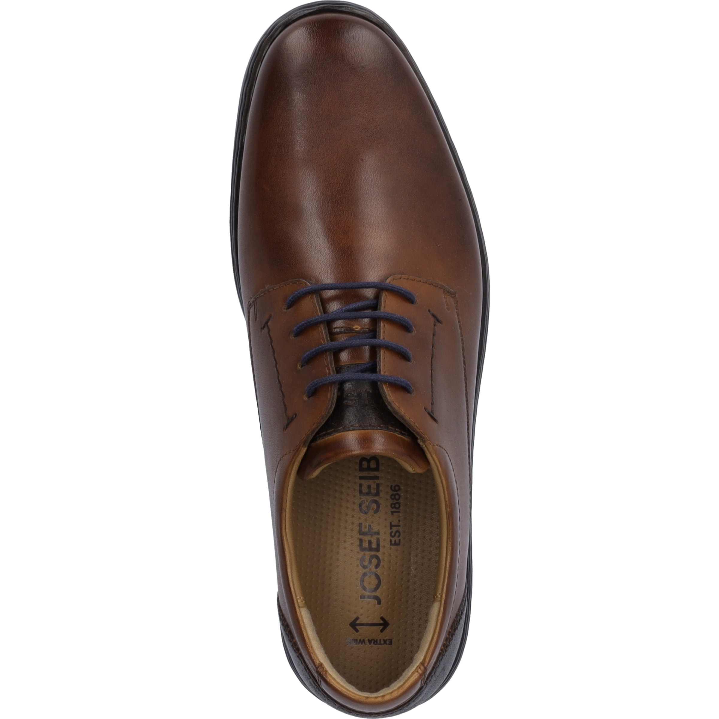 Josef Seibel Schnürschuh »Alastair 01, cognac-kombi«