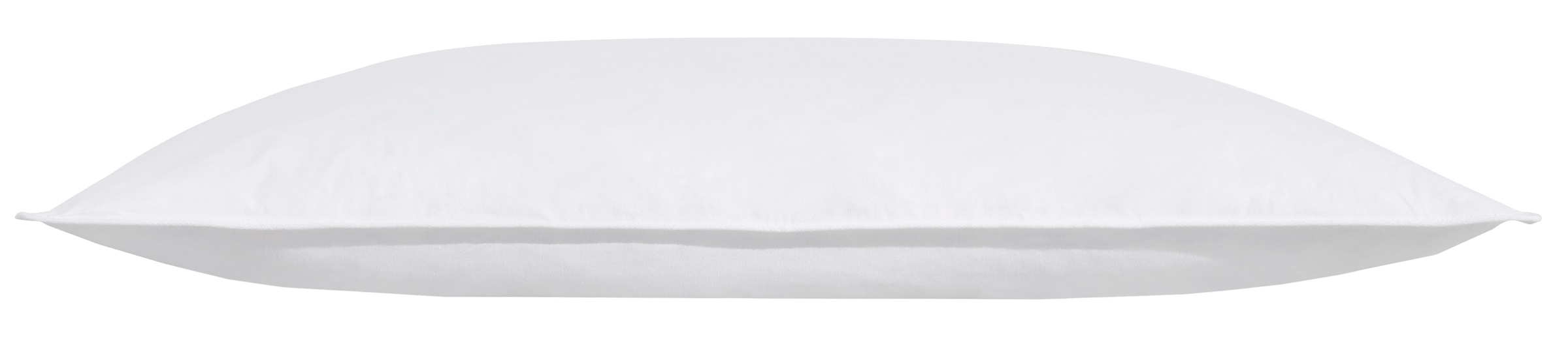 my home Federkopfkissen "Covino" Füllung: 100Federn 1 Stk. tlg. Kissen 40x8 günstig online kaufen