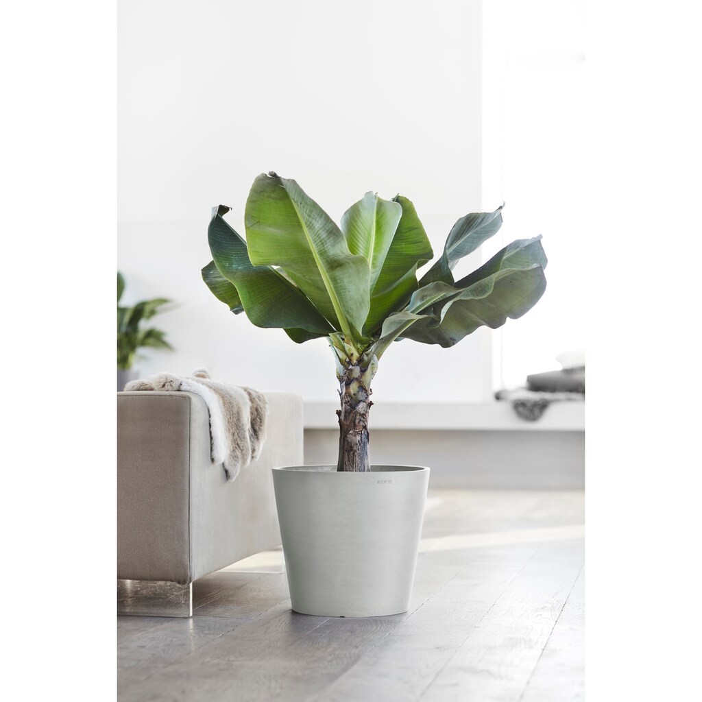 ECOPOTS Blumentopf »AMSTERDAM White Grey«