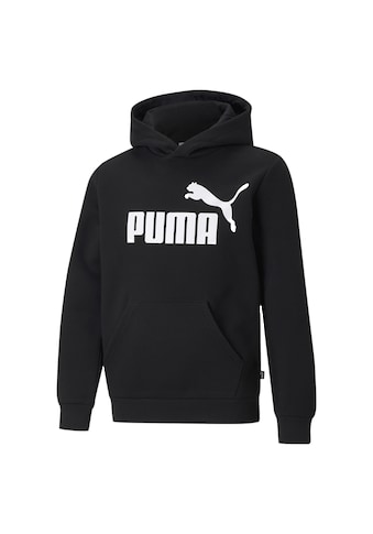 Kapuzenpullover »Essentials Hoodie mit großem Logo Jungen«