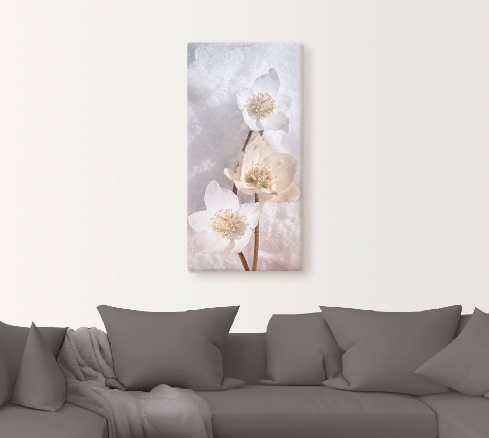 oder Artland St.), Wandaufkleber BAUR Alubild, Wandbild als versch. | in kaufen Blumen, Größen Schnee«, »Christrose im Poster (1 Leinwandbild,